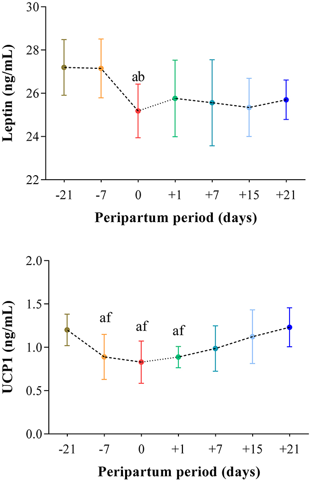Line graphs showing leptin and UCP1 levels in ng/mL during the peripartum period. The top graph shows leptin levels starting at around 27 ng/mL on day -21, dipping to about 25 ng/mL on day 0, and remaining stable around 25 ng/mL by day +21. The bottom graph shows UCP1 levels starting near 1.2 ng/mL on day -21, decreasing slightly to about 0.9 ng/mL by day 0, then gradually increasing to around 1.5 ng/mL by day +21. Error bars are included for each data point.