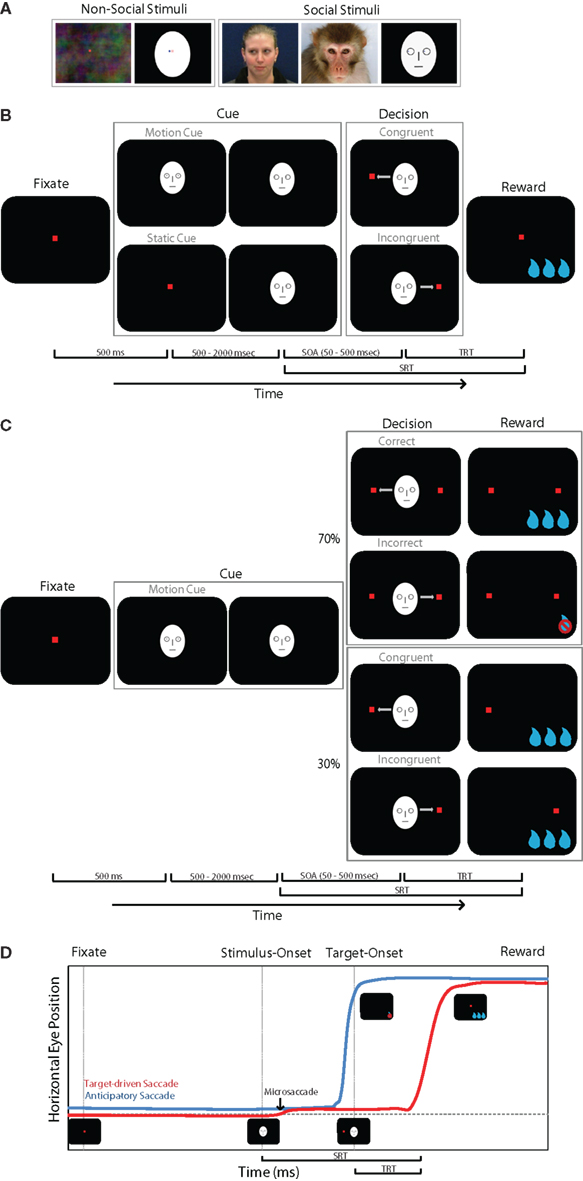 Frontiers Orienting Of Attention To Gaze Direction Cues In Rhesus 