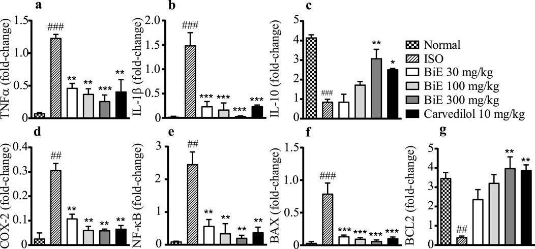 Bar graphs labeled a to g show fold-change in expression levels of TNFα, IL-1β, IL-10, COX-2, NF-κB, BAX, and BCL2. Treatments include Normal, ISO, BiE at 30, 100, and 300 mg/kg, and Carvedilol 10 mg/kg. Various significance levels are marked with symbols.