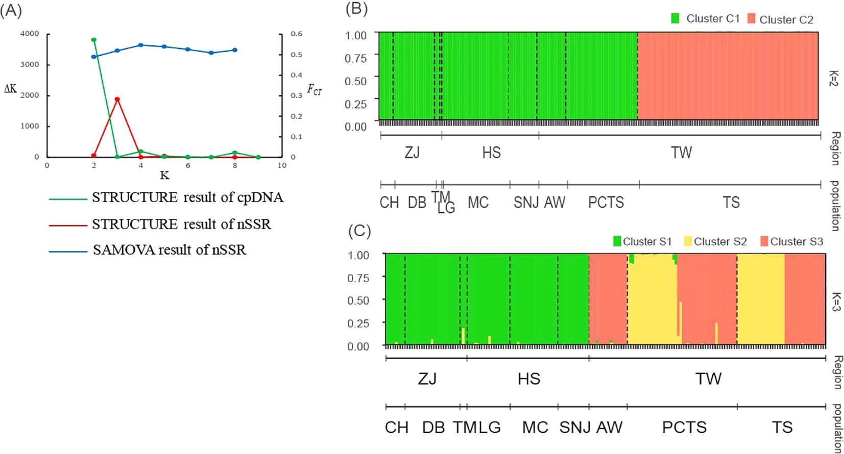 Graph showing genetic structure analysis results. (A) Line graph of ΔK versus K for cpDNA and nSSR using STRUCTURE and SAMOVA. (B) Bar plot for K=2, showing two clusters (green and red) across regions ZJ, HS, and TW. (C) Bar plot for K=3, displaying three clusters (green, yellow, and red) across the same regions, indicating genetic diversity.