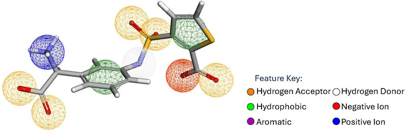 Chemical structure visualization with color-coded features. Orange spheres indicate hydrogen acceptors, blue spheres represent positive ions, and red spheres depict negative ions. Green areas highlight hydrophobic regions, while purple signifies aromatic regions. The feature key assists in interpretation.