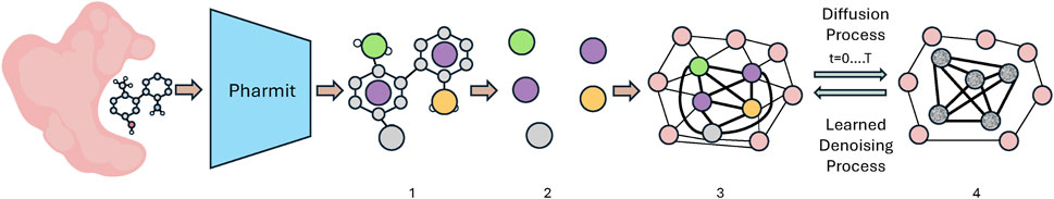 A diagram illustrates a multi-step molecular process involving four stages. 1: Molecules enter a system labeled