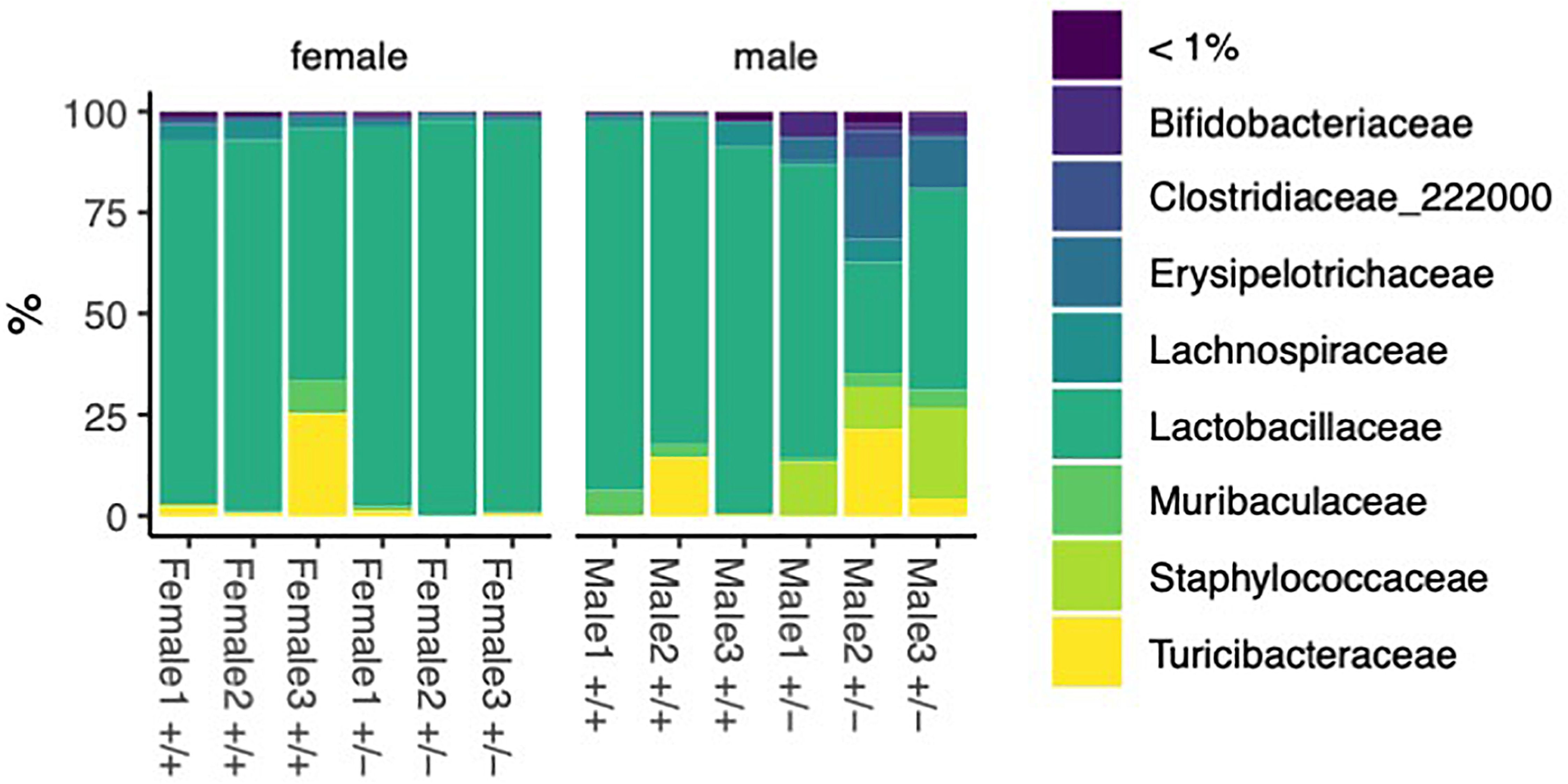 Bar chart comparing the gut microbiota composition in male and female subjects. The chart shows the relative abundances of various bacteria families, including Lachnospiraceae, Turicibacteraceae, and others, with each represented by a different color. The x-axis lists subjects as Female1, Female2, etc., and the y-axis shows percentage composition.
