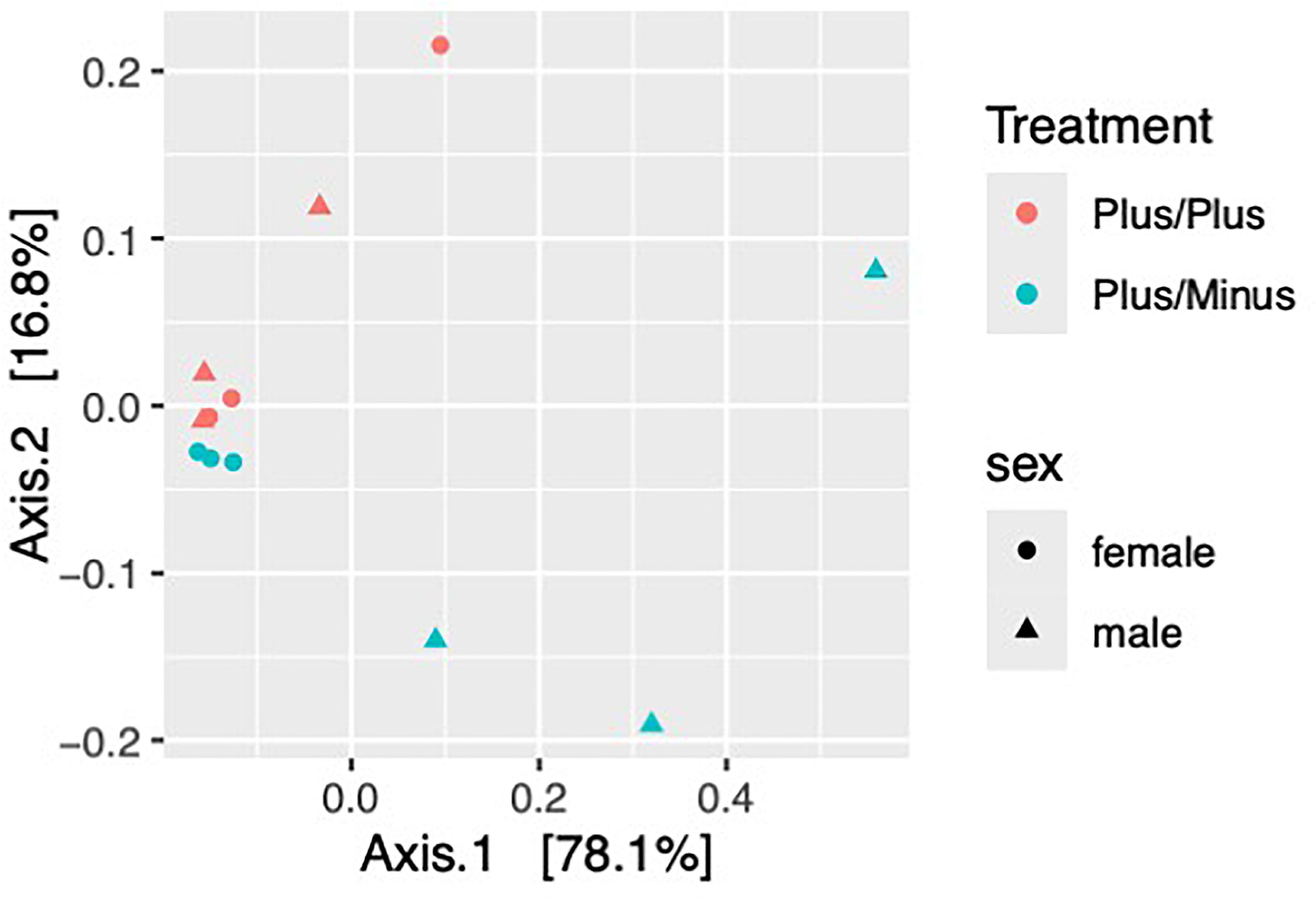 Heatmap titled “Plus/Plus Treatment” showing bacterial family abundances for different groups. Rows represent bacterial families and are color-coded by phylum; columns represent samples labeled as female or male. A color gradient from blue to red indicates abundance levels from low to high.