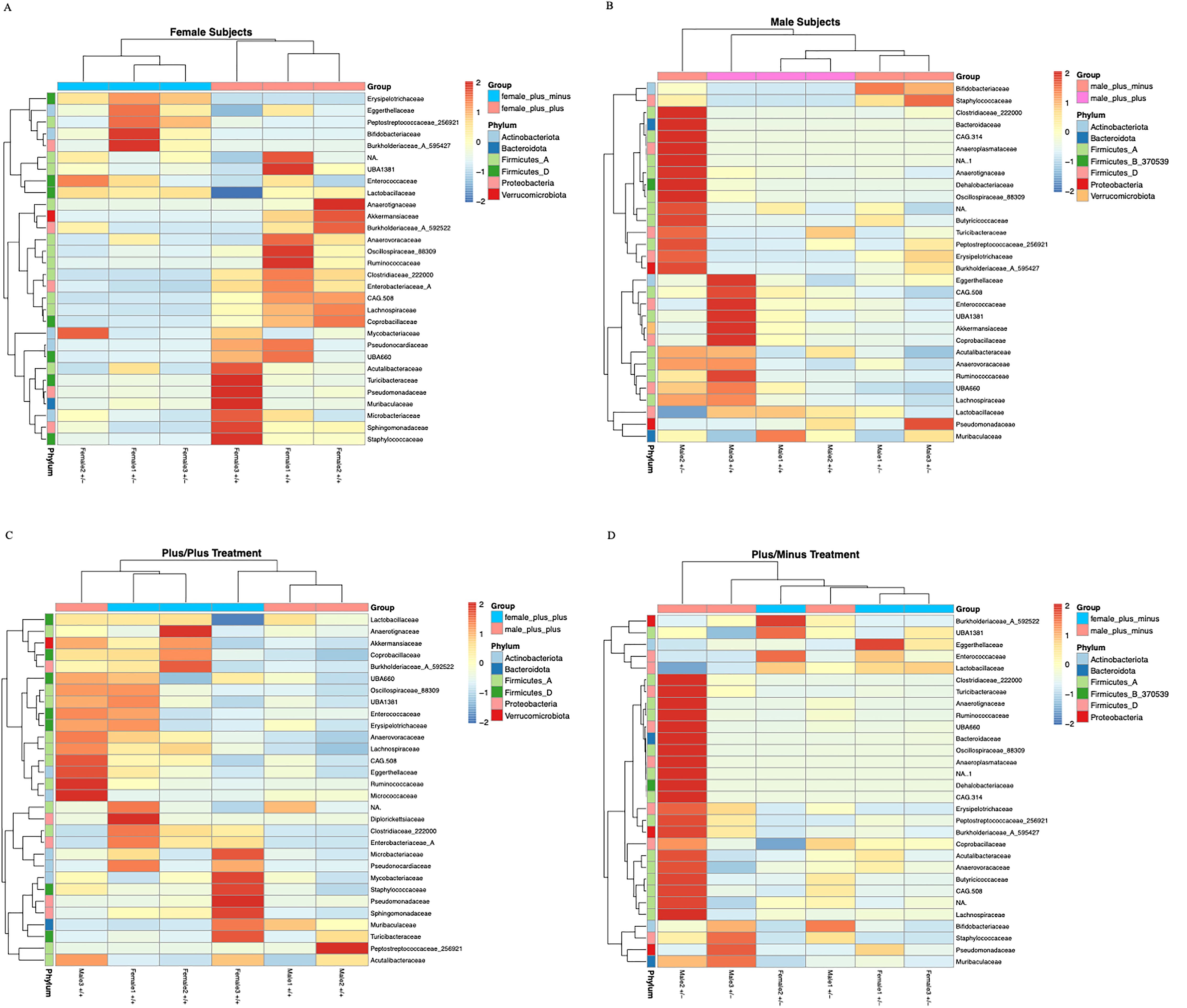 Four heatmaps labeled A, B, C, and D compare microbial compositions. Map A shows data for female subjects, B for male subjects, C for Plus/Plus treatment, and D for Plus/Minus treatment. Color gradients represent differences in microbial groups and phyla. A legend indicates group classifications and phyla with colors ranging from blue to red. Rows list microbial taxa, while columns represent subject groups. Dendrograms depict hierarchical clustering for both axes, highlighting similarities among groups.
