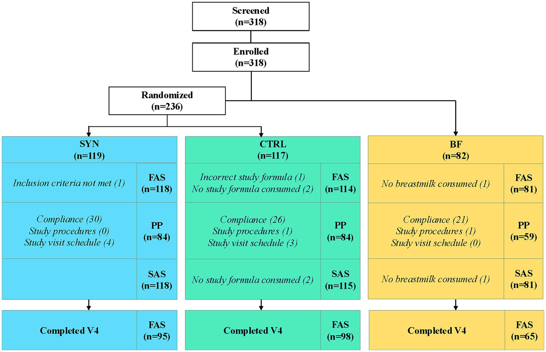 Flowchart depicting a study with 318 screened and enrolled participants, randomized into three groups: SYN (n=119), CTRL (n=117), with a BF reference group (n=82). Each group’s exclusions and completions are listed. SYN shows inclusion criteria issues, study compliance, and visit schedules. CTRL and BF report similar issues. Final completions at V4 are: SYN FAS=95, CTRL FAS=98, BF FAS=65.