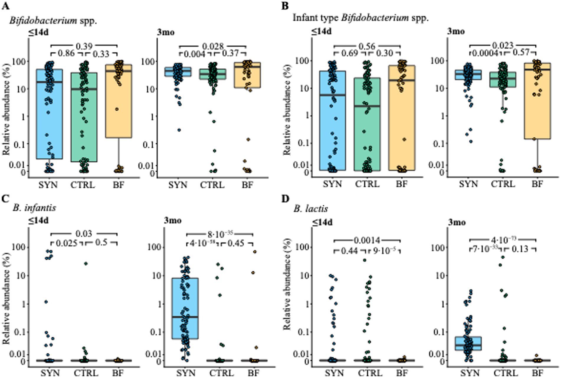 Box plots show the relative abundance of various Bifidobacterium species and strains at ≤14 days and 3 months across three groups: SYN, CTRL, and BF. Each plot displays data points with statistical comparisons indicated above.
