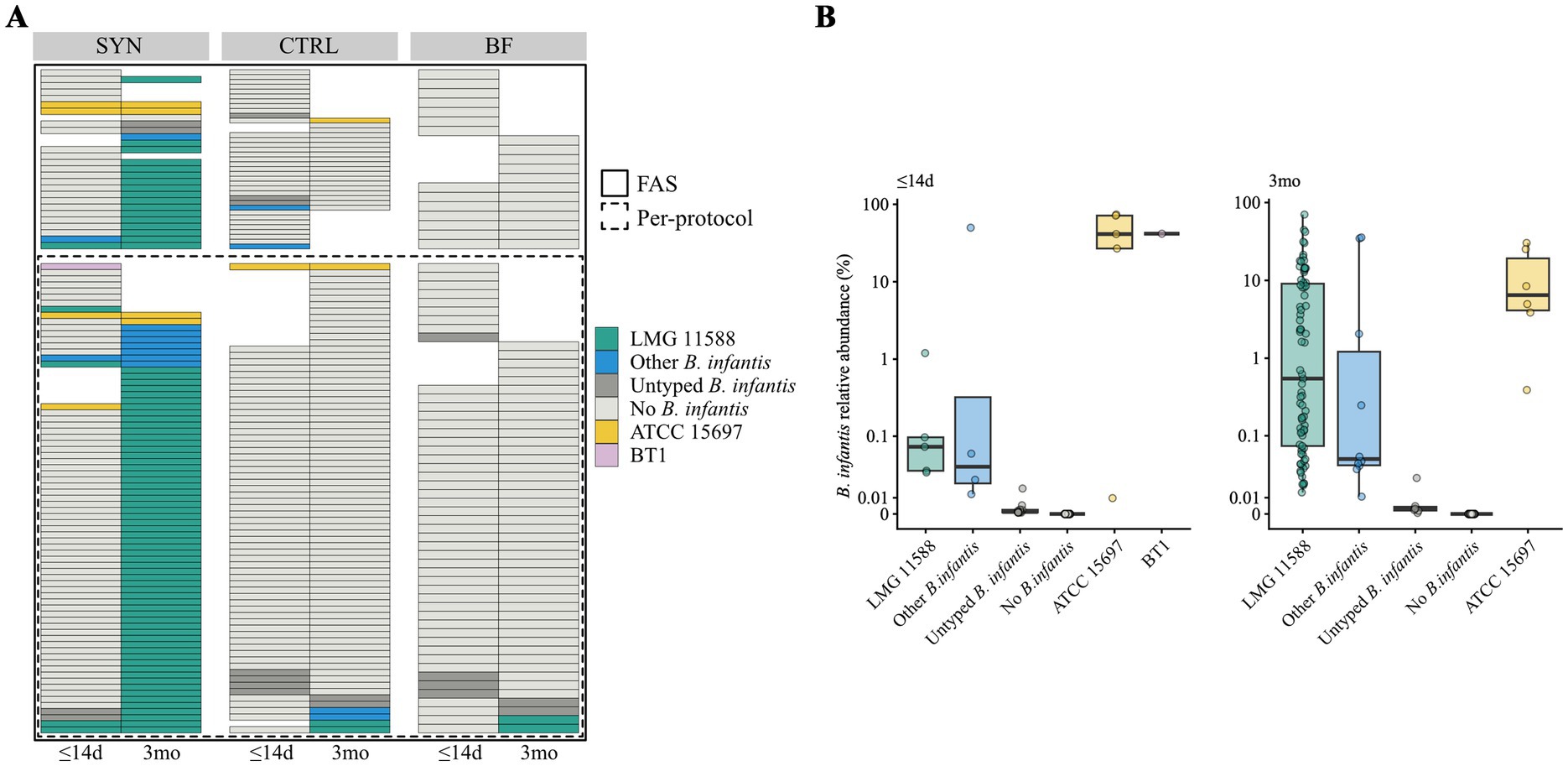 Panel A shows B. infantis strains across SYN, CTRL, and BF groups at two time points: less than or equal to fourteen days and three months. Panel B presents box plots of B. infantis relative abundance percentages for various strains, including LMG 11588, ATCC 15697, and others, at the same time intervals. The color legend identifies each strain type, with specific colors representing different strains.