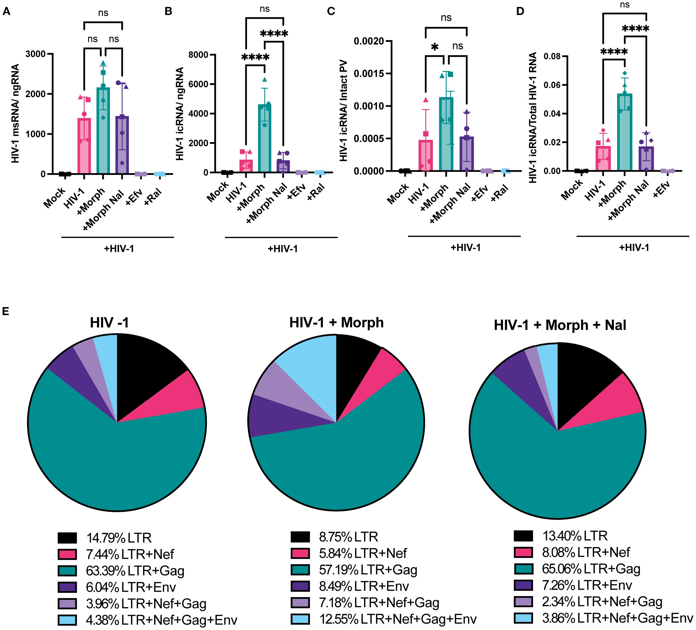 Bar graphs and pie charts depicting data on HIV-1 RNA. The bar graphs (A-D) show different groups: Mock, HIV-1, Morphin, Nal, Efv, and Ral, with significant differences marked by asterisks. Pie charts (E) illustrate percentages of LTR, LTR+Nef, LTR+Gag, LTR+Env, LTR+Nef+Gag, and LTR+Nef+Gag+Env across three conditions: HIV-1, HIV-1 + Morph, and HIV-1 + Morph + Nal. Each segment is color-coded, with corresponding percentages and legends below the charts.