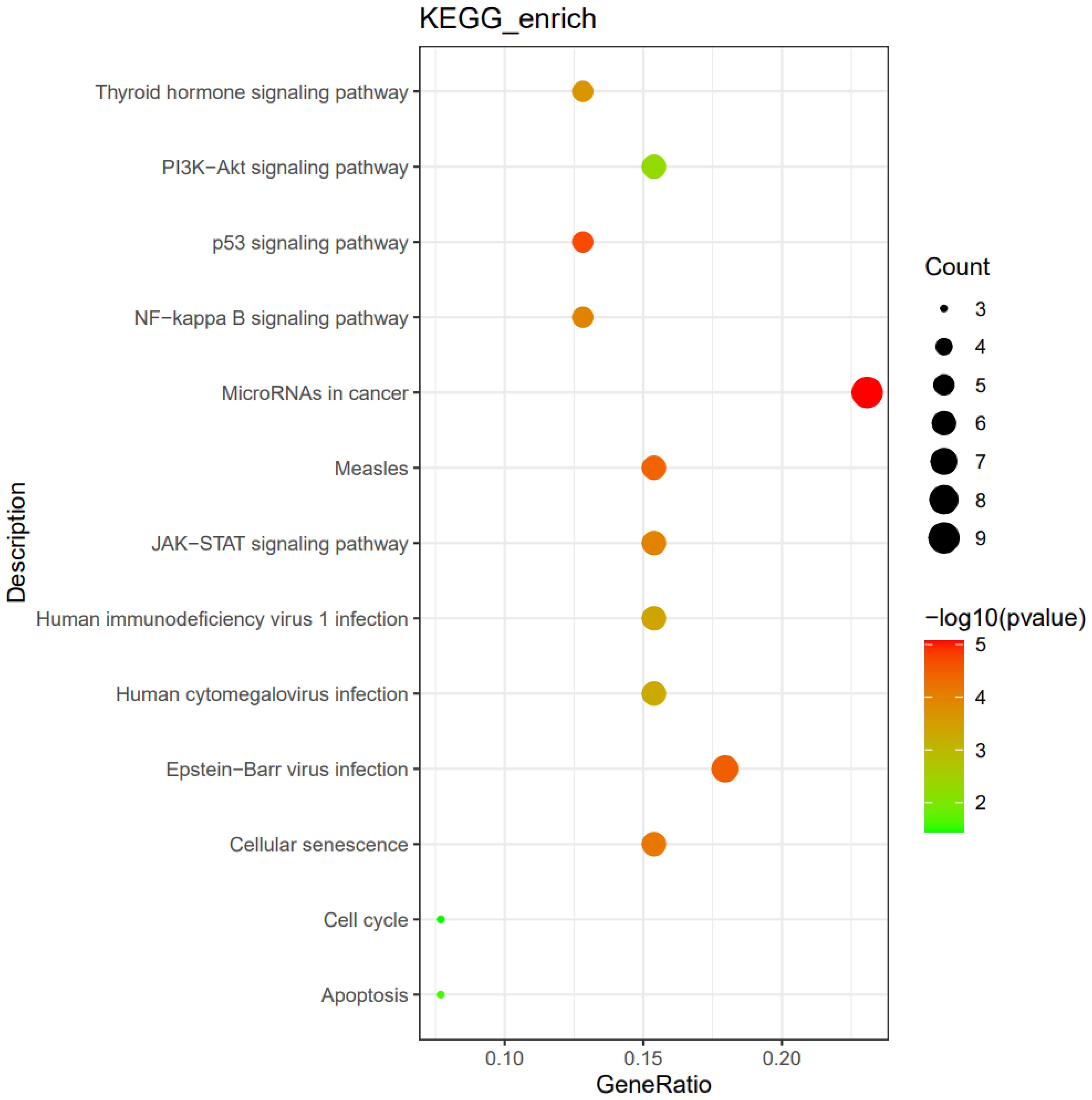 Dot plot titled “KEGG_enrich” illustrating various pathways, with the GeneRatio on the x-axis and pathway descriptions on the y-axis. Dot sizes represent count, and colors indicate negative log ten p-values. Larger red dot for “MicroRNAs in cancer” signifies high significance and count.