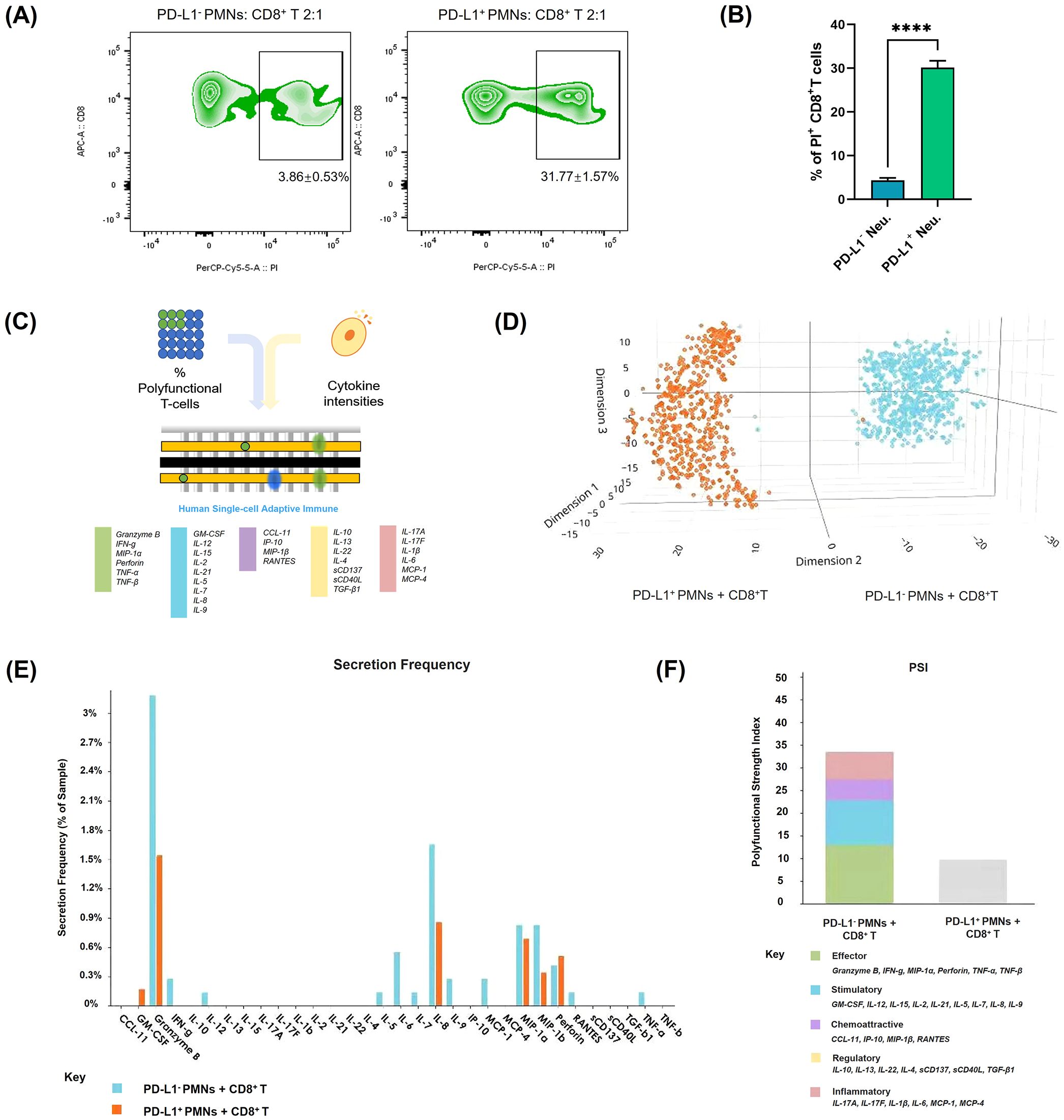 (A) Two flow cytometry plots comparing PD-L1- and PD-L1+ polymorphonuclear neutrophils (PMNs) with CD8+ T cells, showing increased CD8+ T cell activation in PD-L1+ group. (B) Bar graph depicting a significant increase in the percentage of positive CD8+ T cells in PD-L1+ group. (C) Diagram illustrating polyfunctional T-cells with cytokine intensities and adaptive immune components. (D) Scatter plot of PMNs with CD8+ T cells, showing distinct clustering between PD-L1- and PD-L1+ groups. (E) Bar graph of cytokine secretion frequency in samples, comparing PD-L1- and PD-L1+ groups. (F) Stacked bar graph of the polyfunctional strength index, comparing T-cell functions in different sample groups.