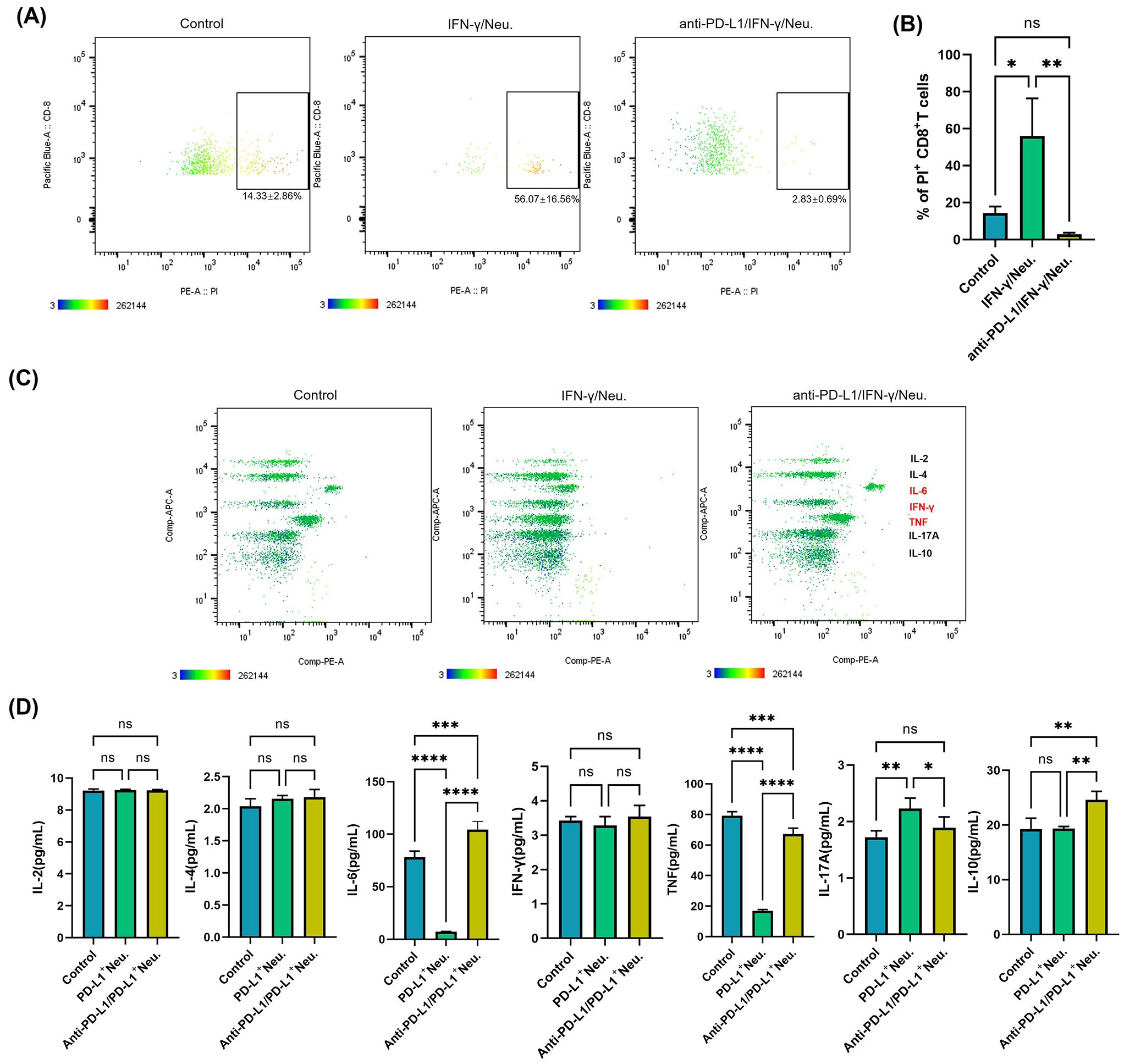 Four-panel scientific figure showing flow cytometry and bar graphs: (A) Three dot plots for Control, IFN-γ/Neu., and anti-PD-L1/IFN-γ/Neu. conditions, with CD8 cell populations highlighted. (B) Bar graph comparing the percentage of PI+ CD8+ T cells among the conditions, with statistical significance indicated. (C) Three flow cytometry plots showing cytokine profiles (IL-2, IL-4, IL-6, IFN-γ, TNF, IL-17A, IL-10) under the same conditions. (D) Five bar graphs detailing cytokine concentrations (IL-2, IL-4, IL-6, IFN-γ, TNF, IL-17A, IL-10) with indicated significance levels.