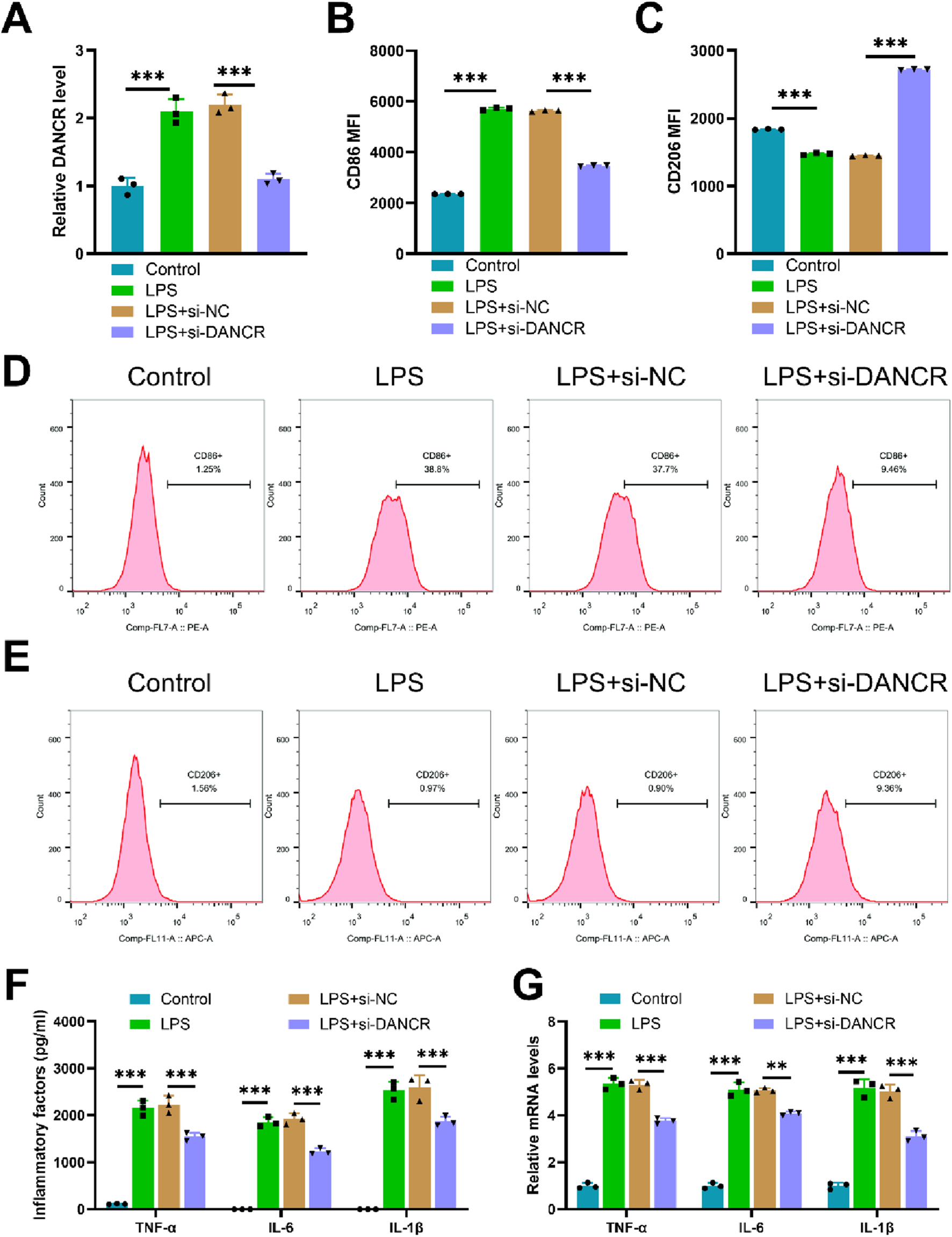 Graphs and flow cytometry plots present data on the effects of different treatments on cell markers and inflammatory factors. Panels A, B, and C show bar graphs of relative DANCR levels, CD86 MFI, and CD206 MFI, respectively, under Control, LPS, LPS+si-NC, and LPS+si-DANCR conditions. Panels D and E show flow cytometry histograms of CD86 and CD206 expressions, respectively, under the same conditions. Panels F and G illustrate bar graphs of inflammatory factors (TNF-α, IL-6, IL-1β) and mRNA levels. Significant differences are indicated by asterisks, with P < 0.001 denoted by three asterisks.