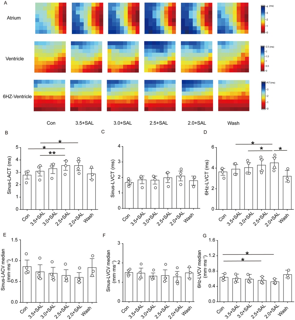 Heatmaps and bar graphs showing data related to cardiac electrophysiology under different conditions. The heatmaps display differences in conduction times for the atrium, ventricle, and 6 Hz-ventricle across control, varying concentrations of SAL, and wash. Bar graphs (B-G) illustrate sinus-LACT, sinus-LVCT, 6 Hz-LVCT, and their respective median LACV and LVCV under these conditions. Statistical significance is noted with asterisks.