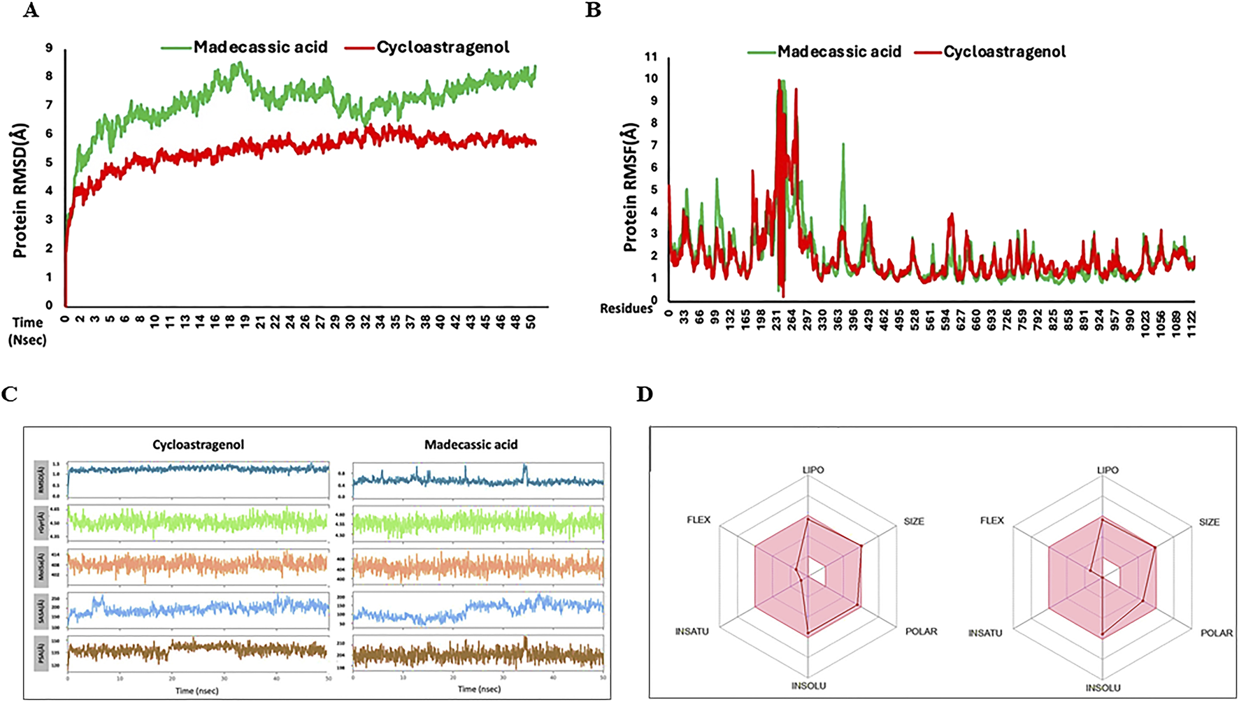 A set of four data visualizations comparing madecassic acid and cycloastragenol. Panel A shows a line graph of protein RMSD over time, with madecassic acid in green consistently higher than cycloastragenol in red. Panel B presents a similar graph, displaying protein RMSF across residues, with parallel fluctuations. Panel C illustrates comparative line graphs for multiple metrics over time for both substances. Panel D depicts radar charts comparing properties like flexibility, polarity, and solubility, highlighting similarities and differences for each compound.