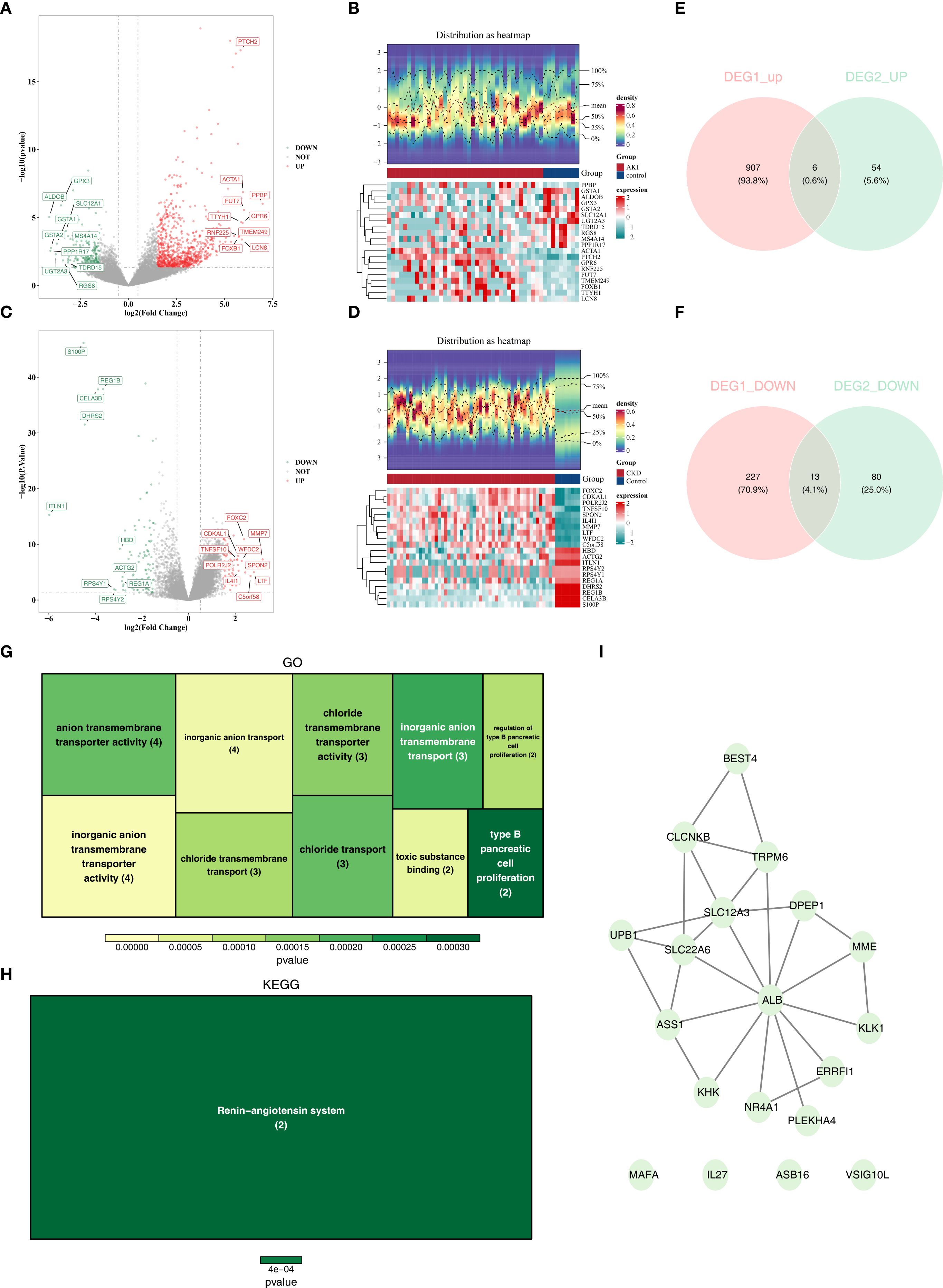 Multiple panels of data visualizations illustrate a biological analysis. Panel A and C show volcano plots of gene expression changes, highlighting significant genes in red and green. Panel B and D feature heatmaps showing expression distribution across different groups, with color gradients indicating expression levels. Panel E and F present Venn diagrams comparing two groups' upregulated and downregulated genes. Panel G displays a Gene Ontology (GO) treemap with colored boxes representing different biological processes and their significance. Panel H is a KEGG pathway analysis focusing on the renin-angiotensin system. Panel I is a network diagram showing gene interactions.