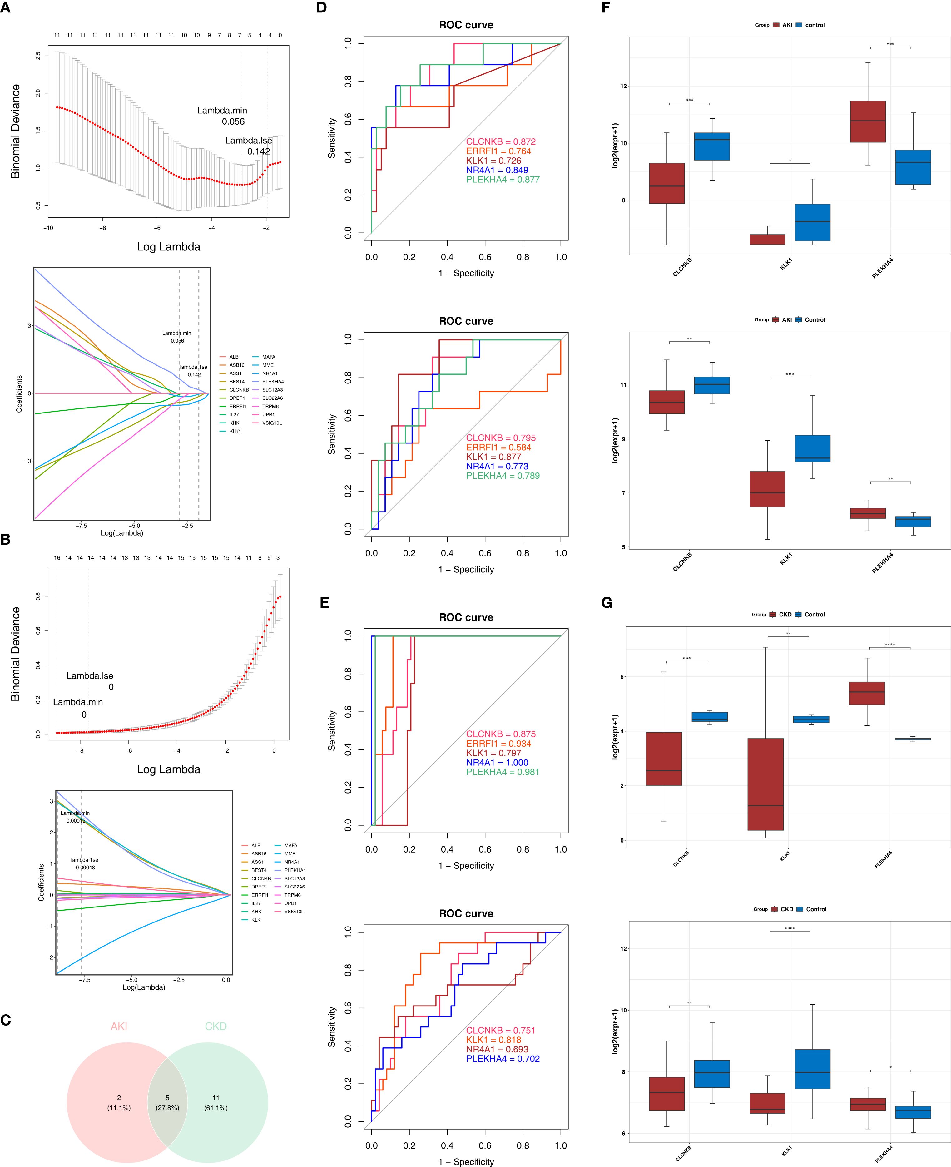 Graphical presentation of statistical analyses, including: A. Plots showing binomial deviance and coefficients against log lambda in LASSO regression. B. Similar plots with different data input. C. Venn diagram comparing AKI and CKD groups. D & E. ROC curves with different gene markers indicating diagnostic performance. F & G. Boxplots comparing log expression levels for specific groups (AD, CKD, and control), with statistical significance indicated by asterisks.