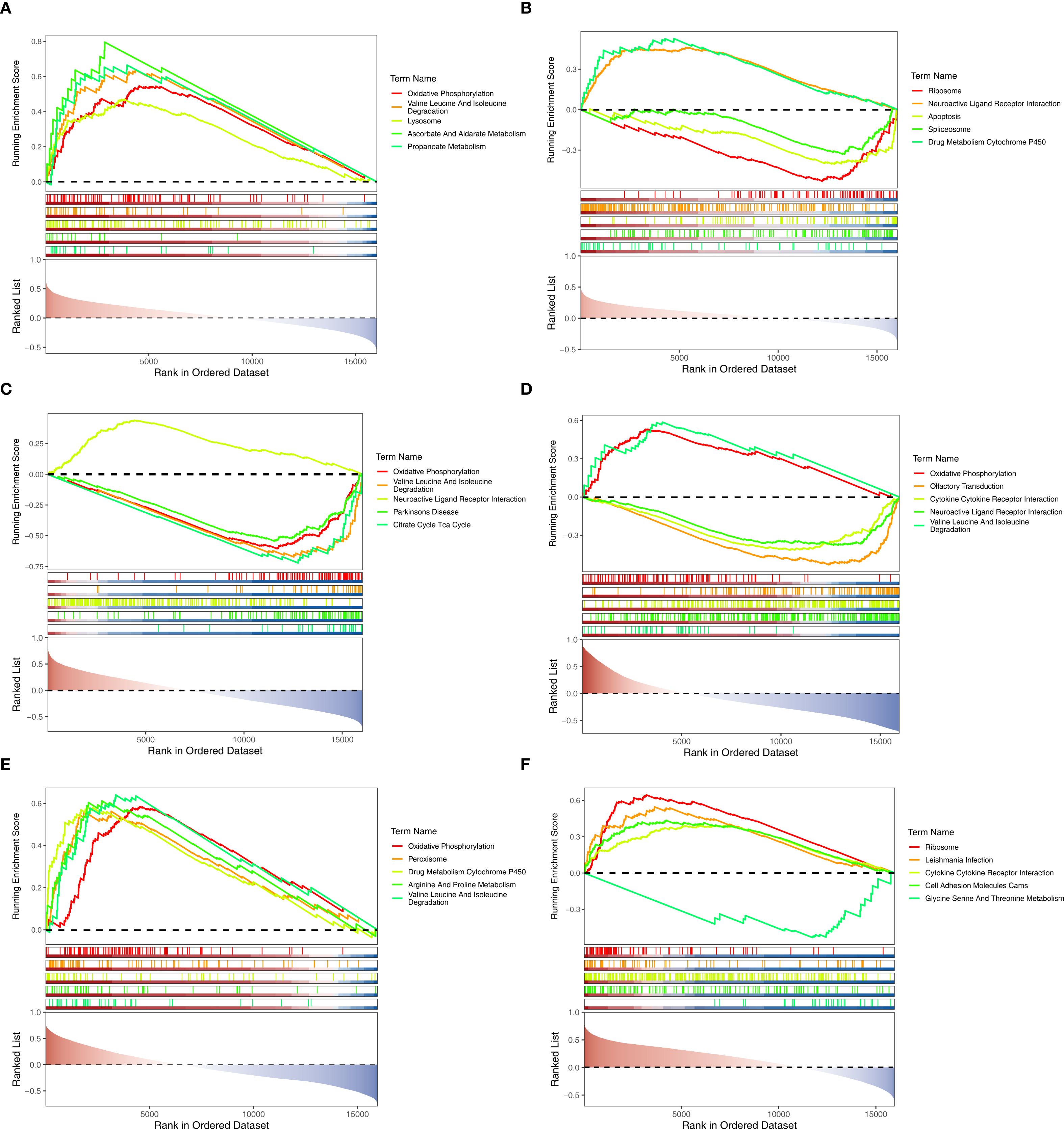 Six panel plots labeled A to F, each showing line graphs of running enrichment scores, ranked dataset positions, and hit lists for different biological terms. Each plot highlights specific terms in different colors. The x-axis represents rank in an ordered dataset, while the y-axis measures the running enrichment score. Each panel displays varied biological pathways such as oxidative phosphorylation and different metabolic processes. The plots are visually similar but differ in the terms highlighted, demonstrating distinct experimental conditions or analyses.