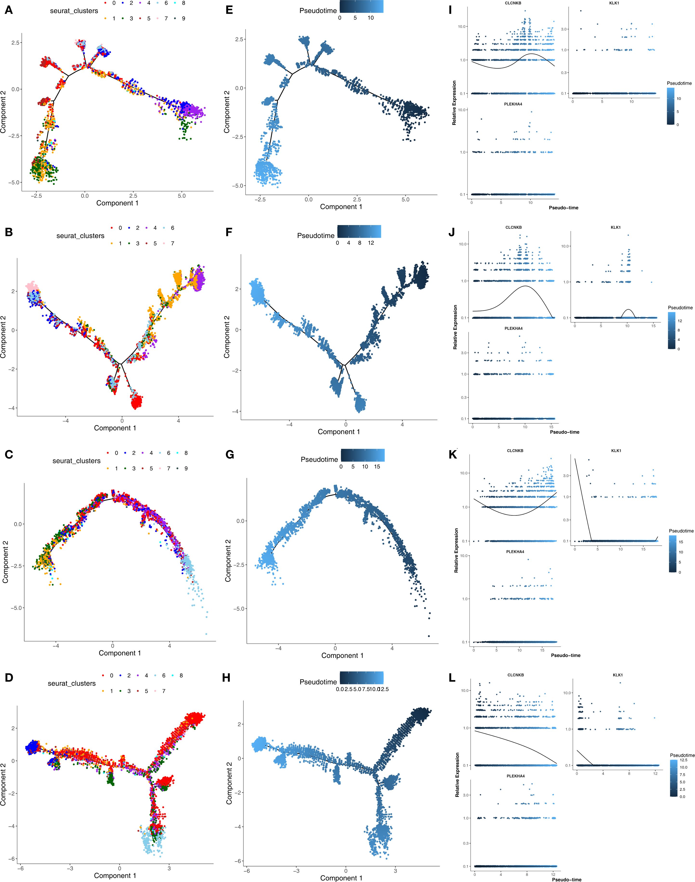 Panel of plots illustrating single-cell RNA sequencing data. Panels A to D show scatter plots of cells colored by Seurat clusters across two components. Panels E to H display the same data, colored by pseudotime. Panels I to L present line graphs of relative gene expression for genes GLOIN3 and KLK1 over pseudotime, with a heatmap indicating expression levels. Each row corresponds to a distinct dataset.