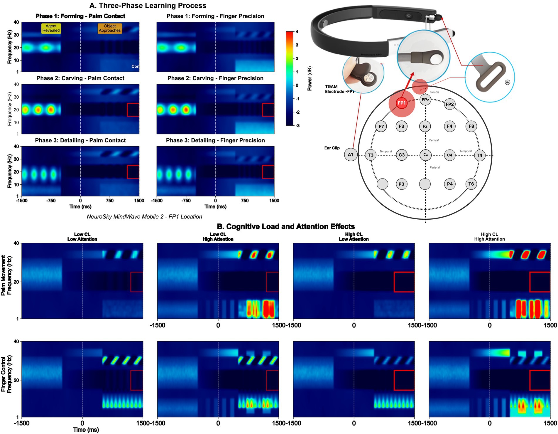 Diagram showing the three-phase learning process during palm and finger contact with corresponding frequency and power graphs. An illustration of a headband with TGAM electrode location is included. The process is categorized into forming, carving, and detailing phases. It also displays cognitive load and attention effects with spectrograms comparing low and high cognitive load and attention during palm movement and finger control. Key phases and levels of focus are indicated.