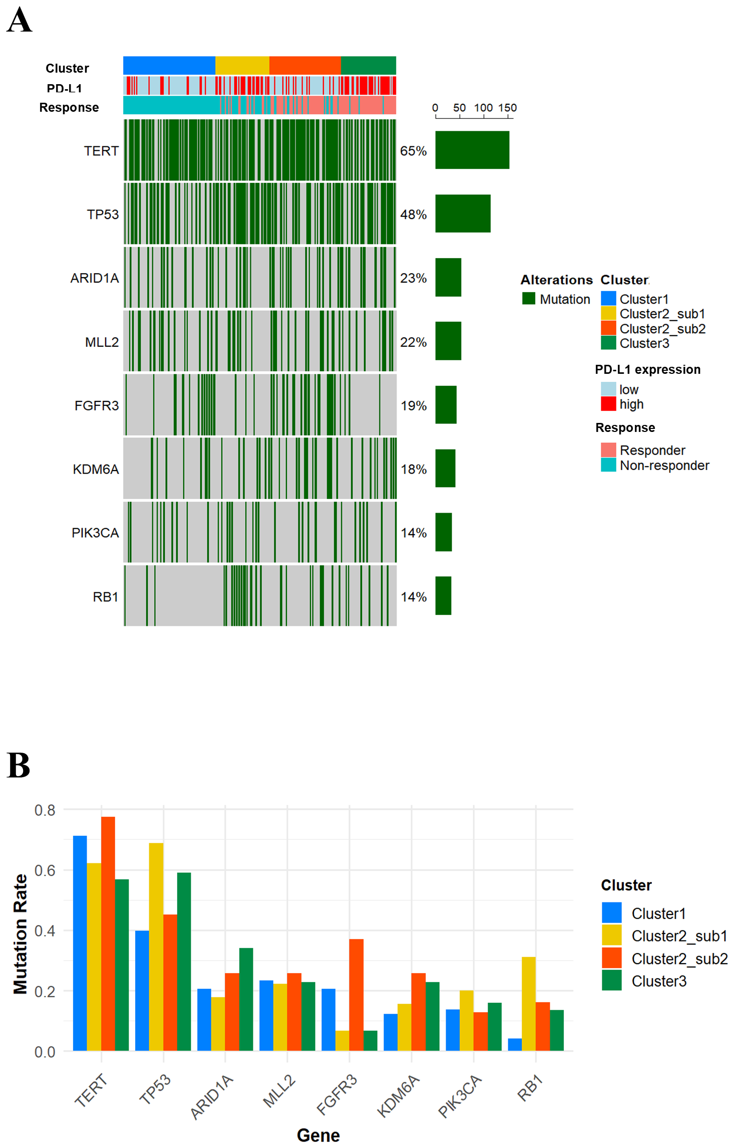 Diagram A shows mutations in genes such as TERT and TP53, characterized by green lines across different clusters and response types. Diagram B displays mutation rates for genes like TERT and RB1 across clusters, using bar charts with color coding for four clusters.