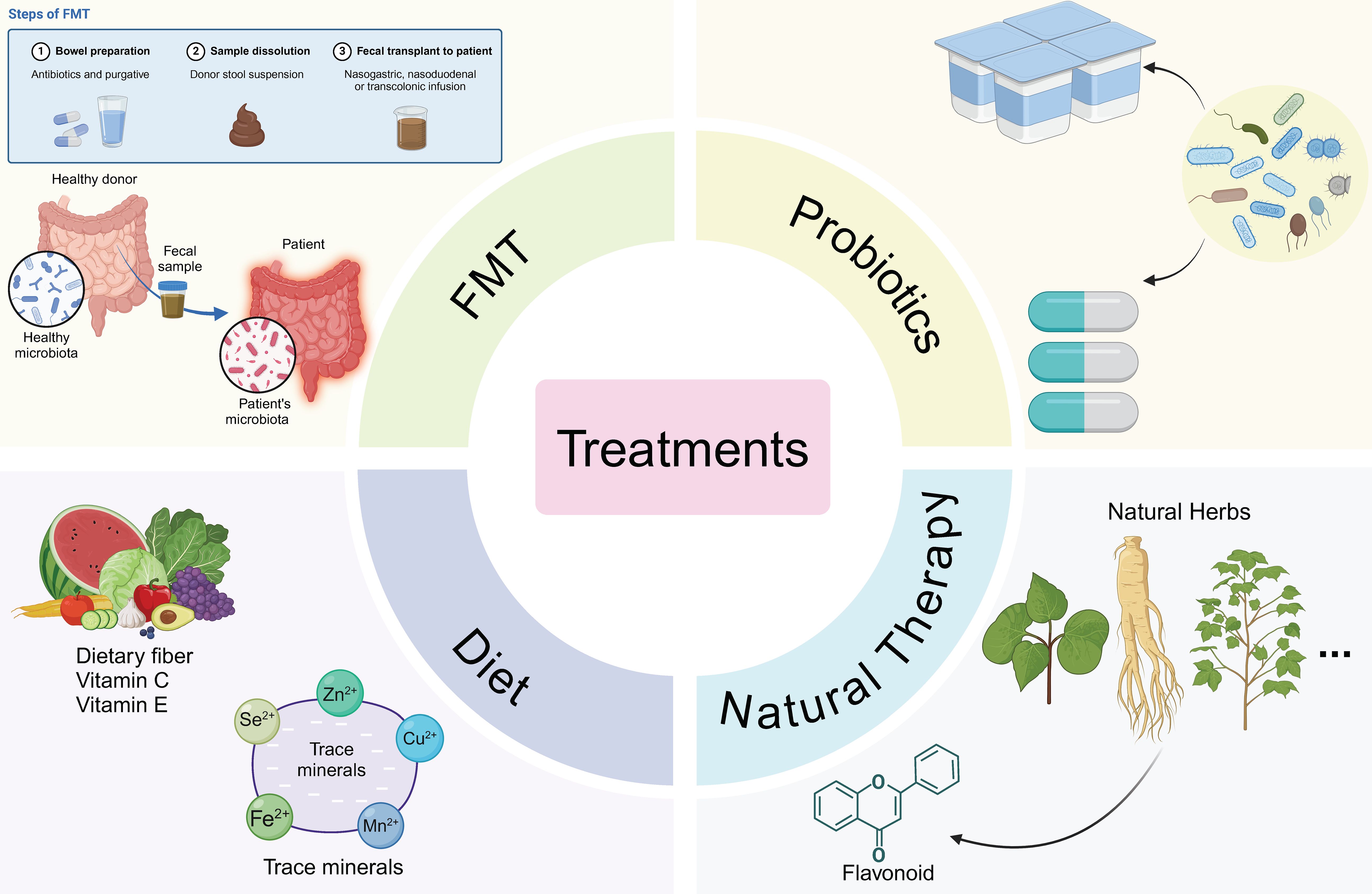 This diagram illustrates various treatments: Fecal Microbiota Transplantation (FMT) with steps depicted for stool transfer from a healthy donor to a patient, probiotics represented by capsules and bacteria, diet including fruits and vegetables with dietary fiber, vitamins, and trace minerals, and natural therapy featuring natural herbs and flavonoids.