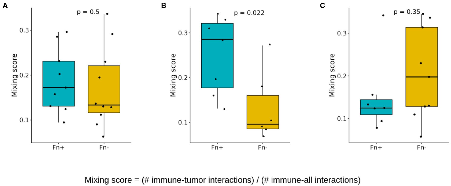 Three box plots labeled A, B, and C compare mixing scores between Fn positive (turquoise) and Fn negative (yellow) groups. Panel A shows similar scores (p = 0.5), B shows a significant difference (p = 0.022), and C shows no significant difference (p = 0.35). The mixing score formula is provided below the plots.