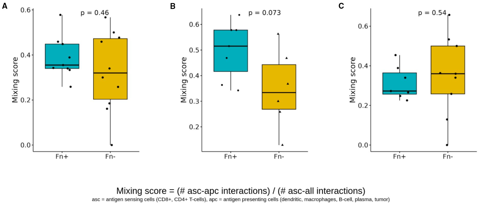 Three box plots labeled A, B, and C compare mixing scores between Fn+ and Fn- groups. Plot A shows a p-value of 0.46, plot B shows a p-value of 0.073, and plot C shows a p-value of 0.54. The mixing score is defined as the number of antigen-sensing cell to antigen-presenting cell interactions divided by the number of antigen-sensing cell to all cell interactions.