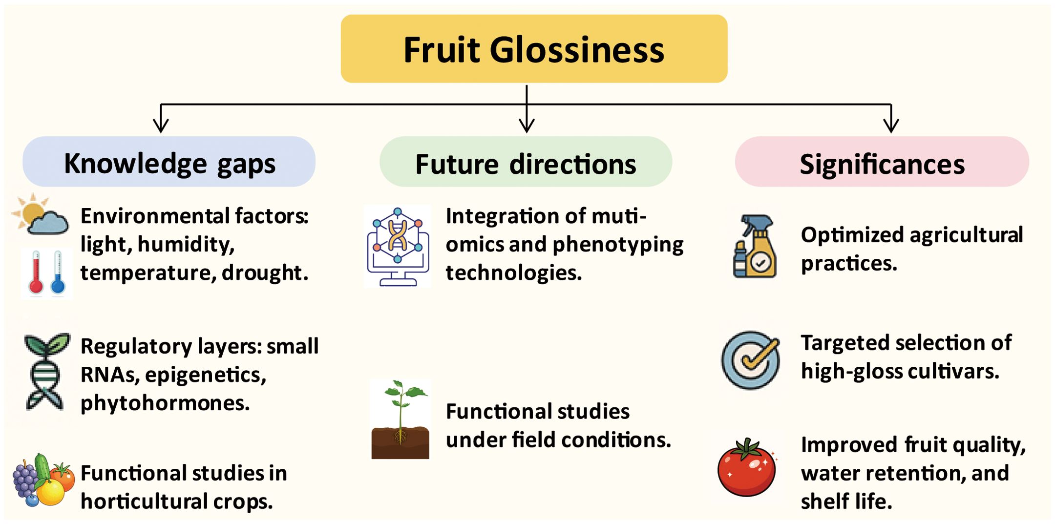 Diagram of fruit glossiness highlighting three areas: Knowledge Gaps (environmental factors, regulatory layers, functional studies in horticultural crops); Future Directions (integration of omics and phenotyping, field studies); and Significances (optimized practices, high-gloss cultivar selection, improved fruit quality and shelf life).