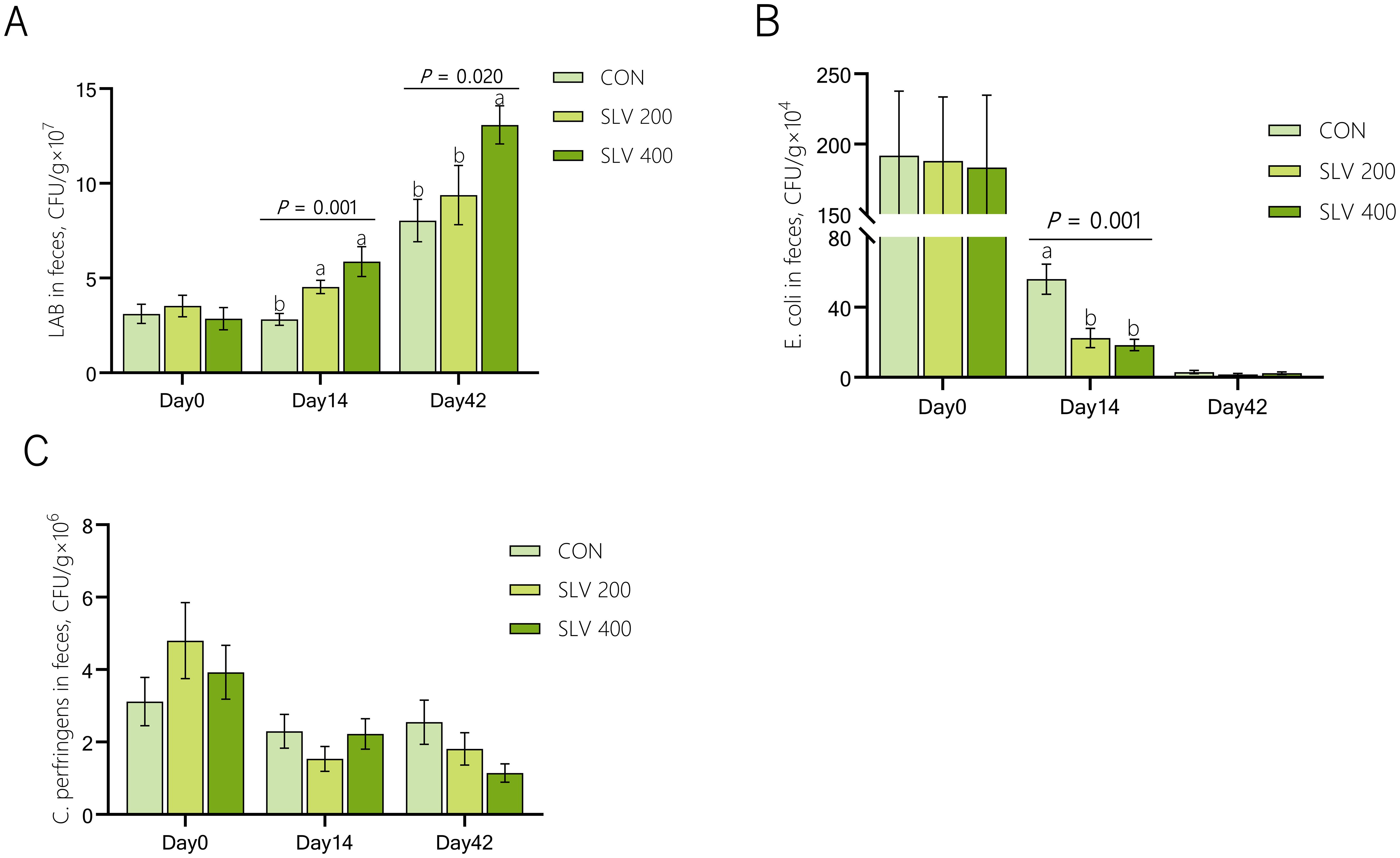 Bar graphs labeled A, B, and C show the effects of different treatments on bacterial counts in feces over time. Graph A illustrates LAB counts, showing significant increases over 42 days with darker bars (SLV 400) peaking highest. Graph B shows E. coli counts, with a notable decrease by day 42, especially in SLV 400. Graph C depicts C. perfringens counts, which generally decrease over time across all treatments. Each graph has three bars representing CON, SLV 200, and SLV 400 for comparison, accompanied by statistical significance markers.