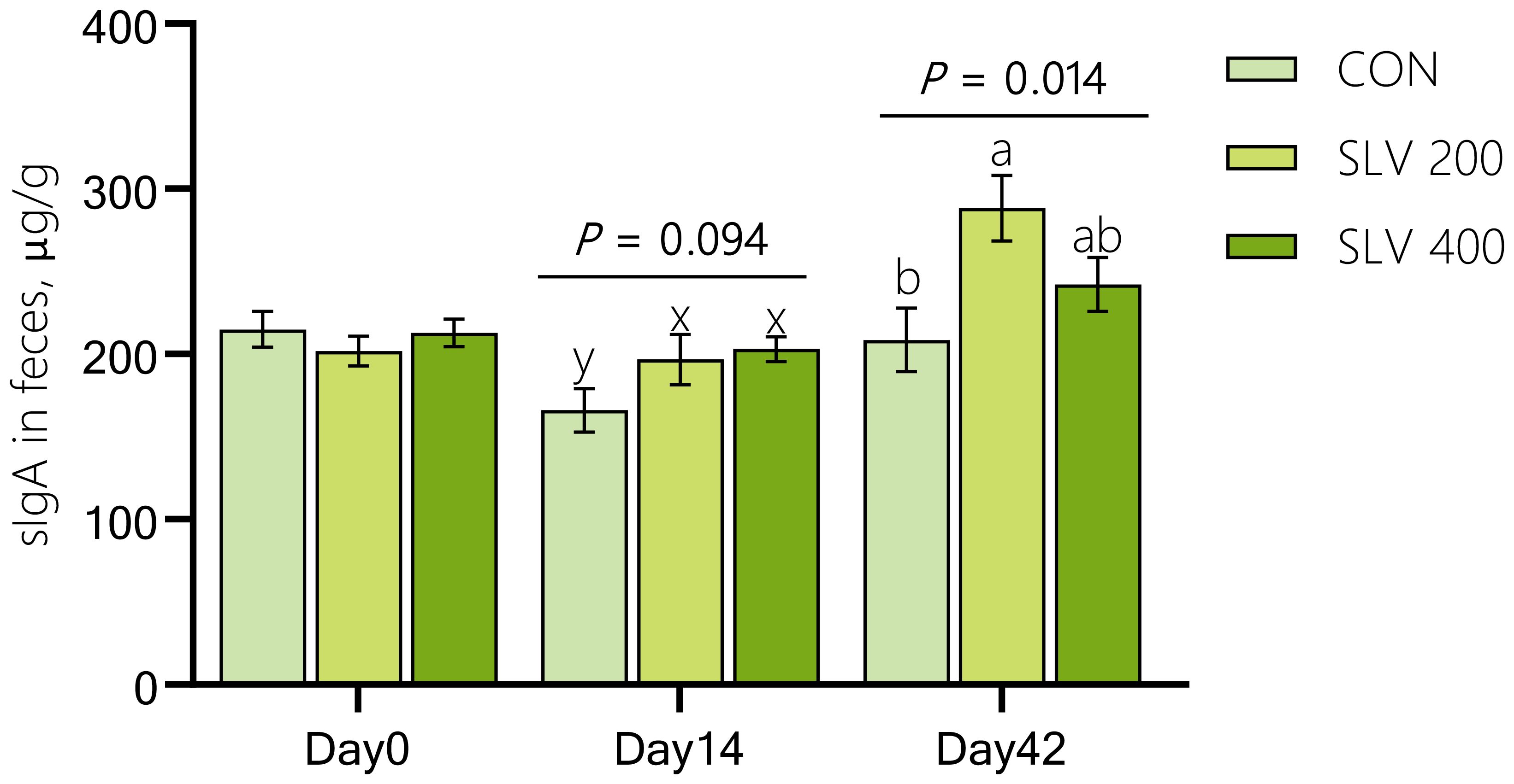 Bar chart showing secretory IgA levels in feces (micrograms per gram) over time for three groups: CON, SLV 200, and SLV 400. Measurements are at Days 0, 14, and 42. CON, SLV 200, and SLV 400 show similar IgA levels at Day 0. By Day 42, SLV 200 shows the highest increase, with a significant P-value of 0.014 between SLV groups. Error bars indicate variability.