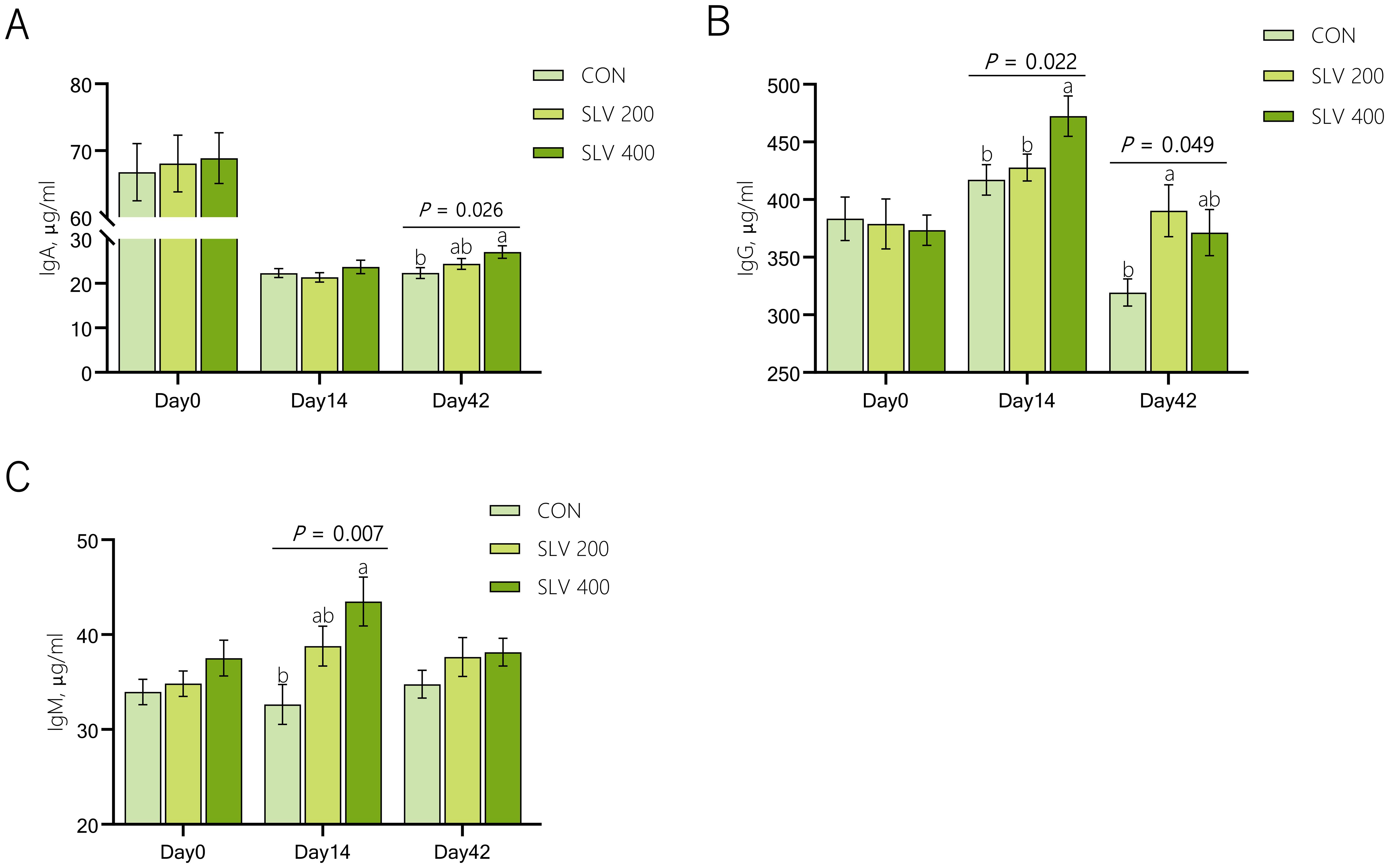 Three bar graphs labeled A, B, and C show IgA, IgG, and IgM levels in micrograms per milliliter across days 0, 14, and 42 for three groups: CON, SLV 200, and SLV 400. Key differences are marked with p-values: A shows a significant increase at day 42, B at days 14 and 42, and C at day 14. Error bars indicate variability.