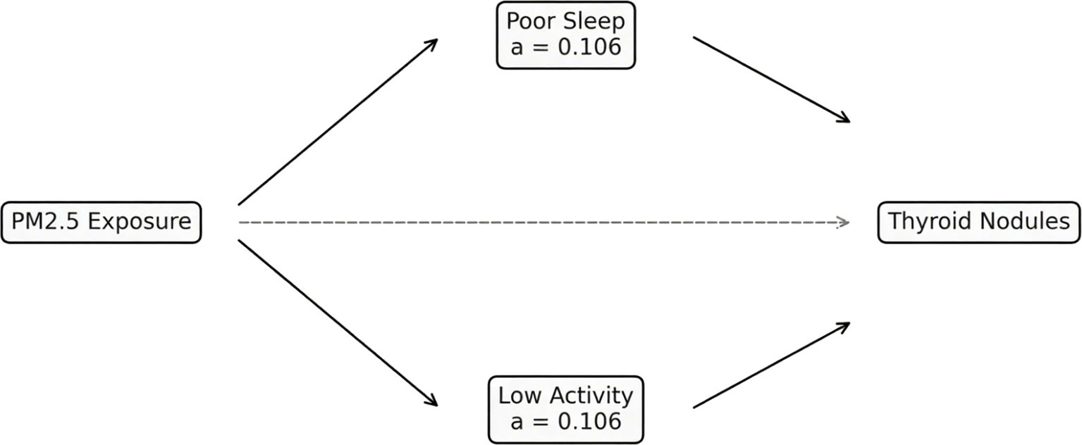 Flowchart illustrating the relationship between PM2.5 exposure and thyroid nodules. PM2.5 exposure directly links to thyroid nodules and indirectly through poor sleep and low activity, each with a coefficient of 0.106.