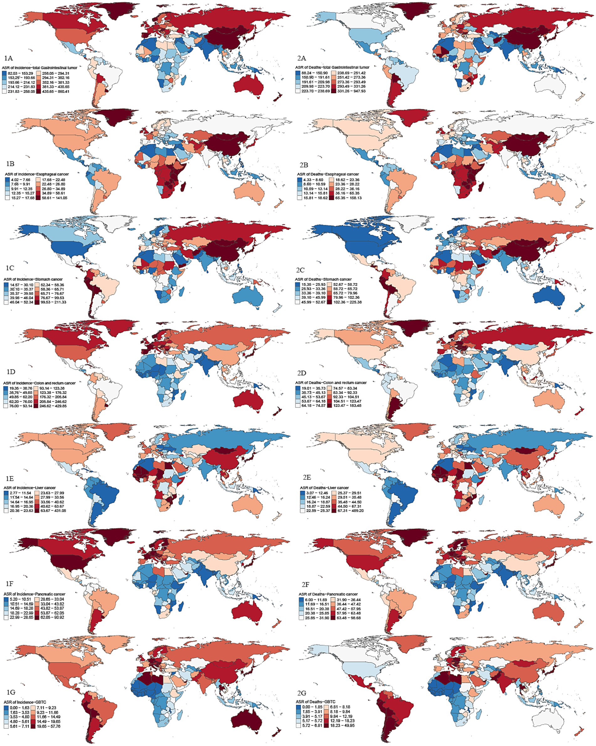 Global maps showing the age-standardized incidence rates (ASIR) and age-standardized mortality rates (ASMR) for geriatric digestive system cancers (GDSC) in 2021. Darker red shades indicate higher rates, while blue shades represent lower rates.Panel 1A displays ASIR for GDSC, and panel 2A shows ASMR for GDSC. Panels 1B to 1G and 2B to 2G represent ASIR and ASMR for various types of geriatric cancers: esophageal, gastric, colorectal, liver, pancreatic, and gallbladder and biliary tract cancer (GBTC). Each map highlights global and regional variations in cancer incidence and mortality.