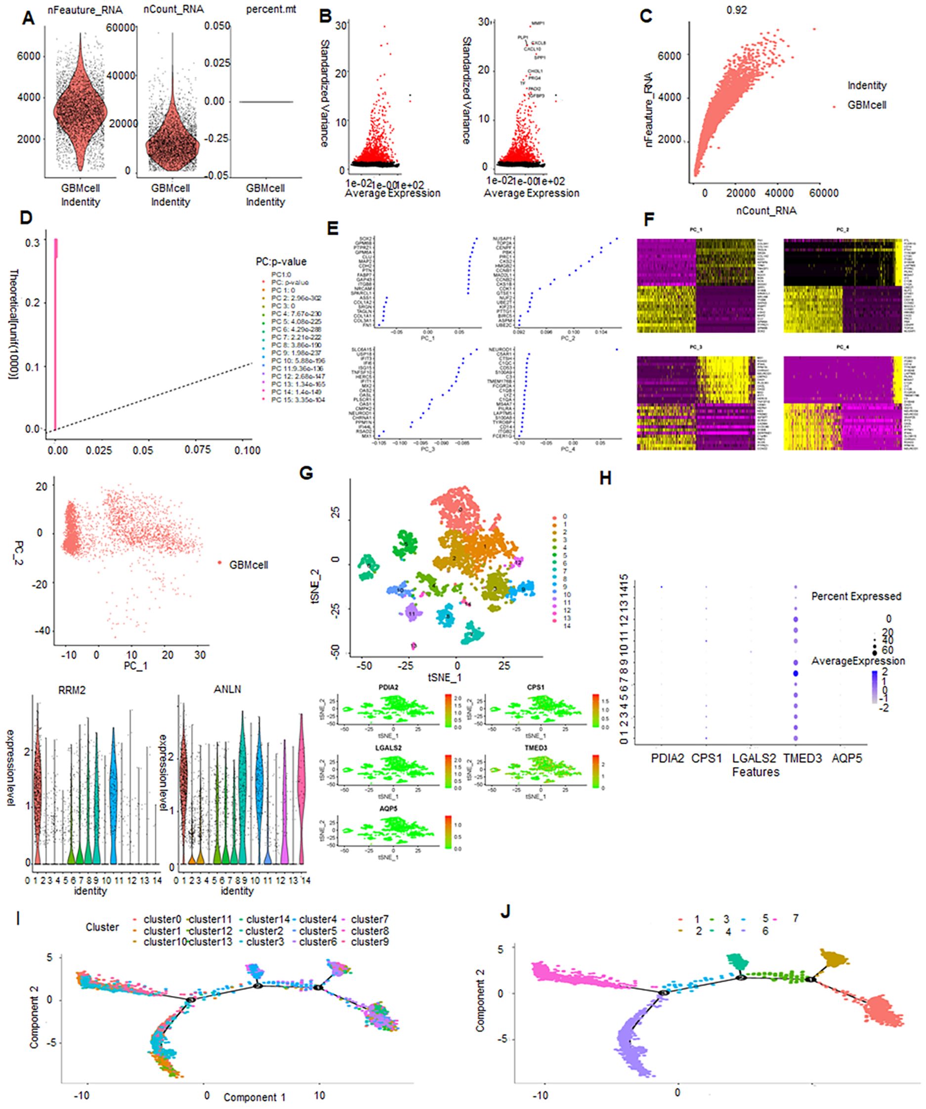 The image contains multiple panels of charts and plots related to RNA sequencing data analysis. Panel A shows violin plots of RNA features and counts. Panel B presents scatter plots comparing standardized variance to average expression. Panel C is a scatter plot depicting the correlation between RNA count and feature counts. Panel D includes elbow and scatter plots for principal component analysis. Panel E displays dot plots for different genes across identities. Panel F consists of heatmaps illustrating gene expression with principal components. Panel G shows a t-SNE plot with colored clusters. Panel H features a dot plot for gene expression. Panels I and J illustrate component plots with clusters.
