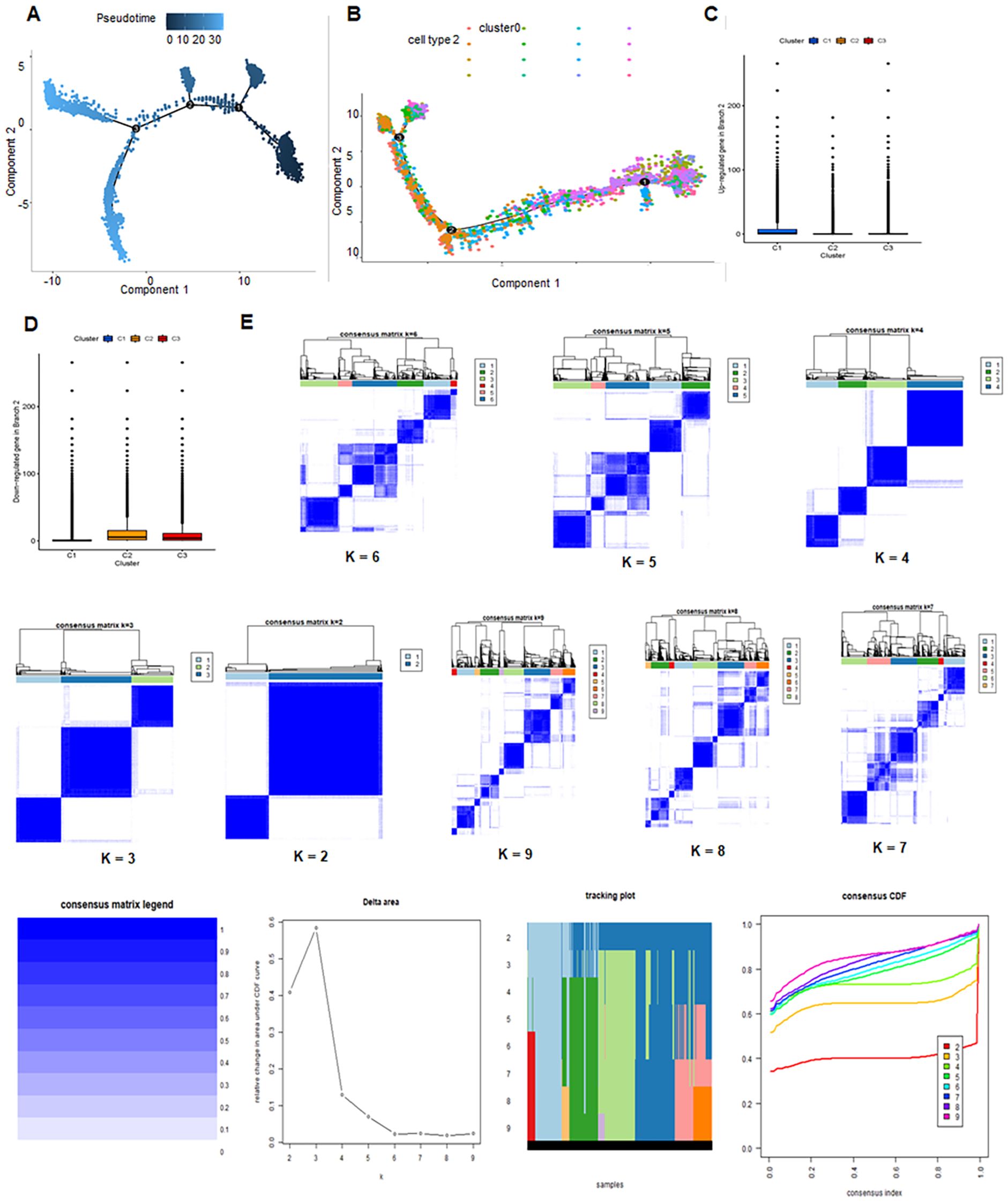 Analysis of pseudotime and clustering data across multiple plots. Panel A shows a line plot with pseudotime on a curve. Panel B displays a scatter plot for cell type clustering with labeled axes. Panels C and D feature boxplots showing gene expression across clusters C1, C2, and C3. Panel E contains heatmaps representing consensus clustering for iterations K equals two to nine, alongside dendrograms. At the bottom, various plots display a consensus matrix legend, a delta area plot, a tracking plot, and a consensus CDF, each illustrating different aspects of the data analysis.