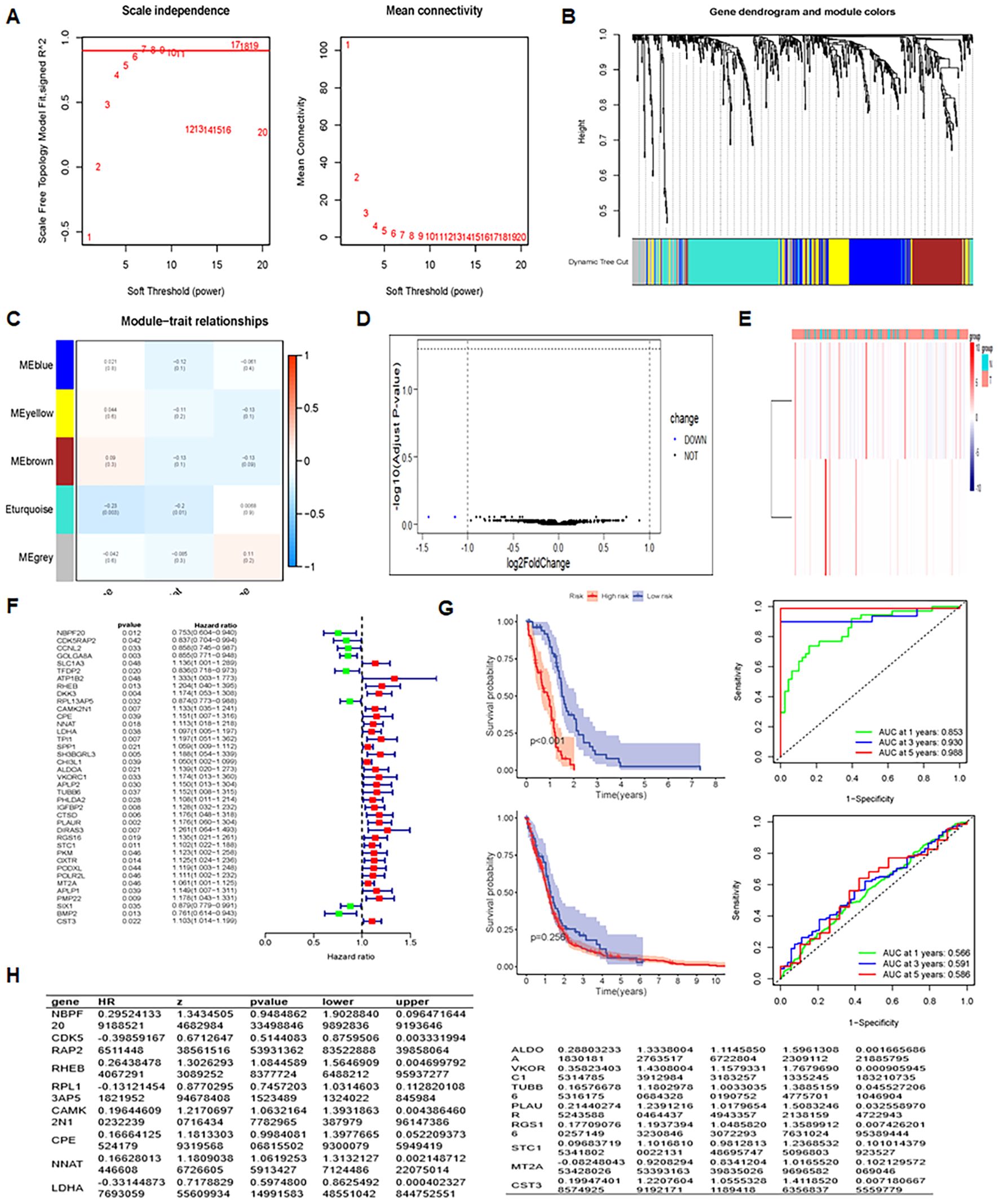 Multiple panels featuring complex genetic analysis data. Panel A includes graphs on scale independence and mean connectivity. Panel B shows a gene dendrogram with module colors. Panel C presents a heatmap of module-trait relationships. Panel D is a scatter plot of gene expression changes. Panel E shows a clustering dendrogram. Panel F includes a forest plot with hazard ratios for various genes. Panel G illustrates survival probability and ROC curves with AUC values. Panel H contains a table of gene statistics, including hazard ratios and p-values.