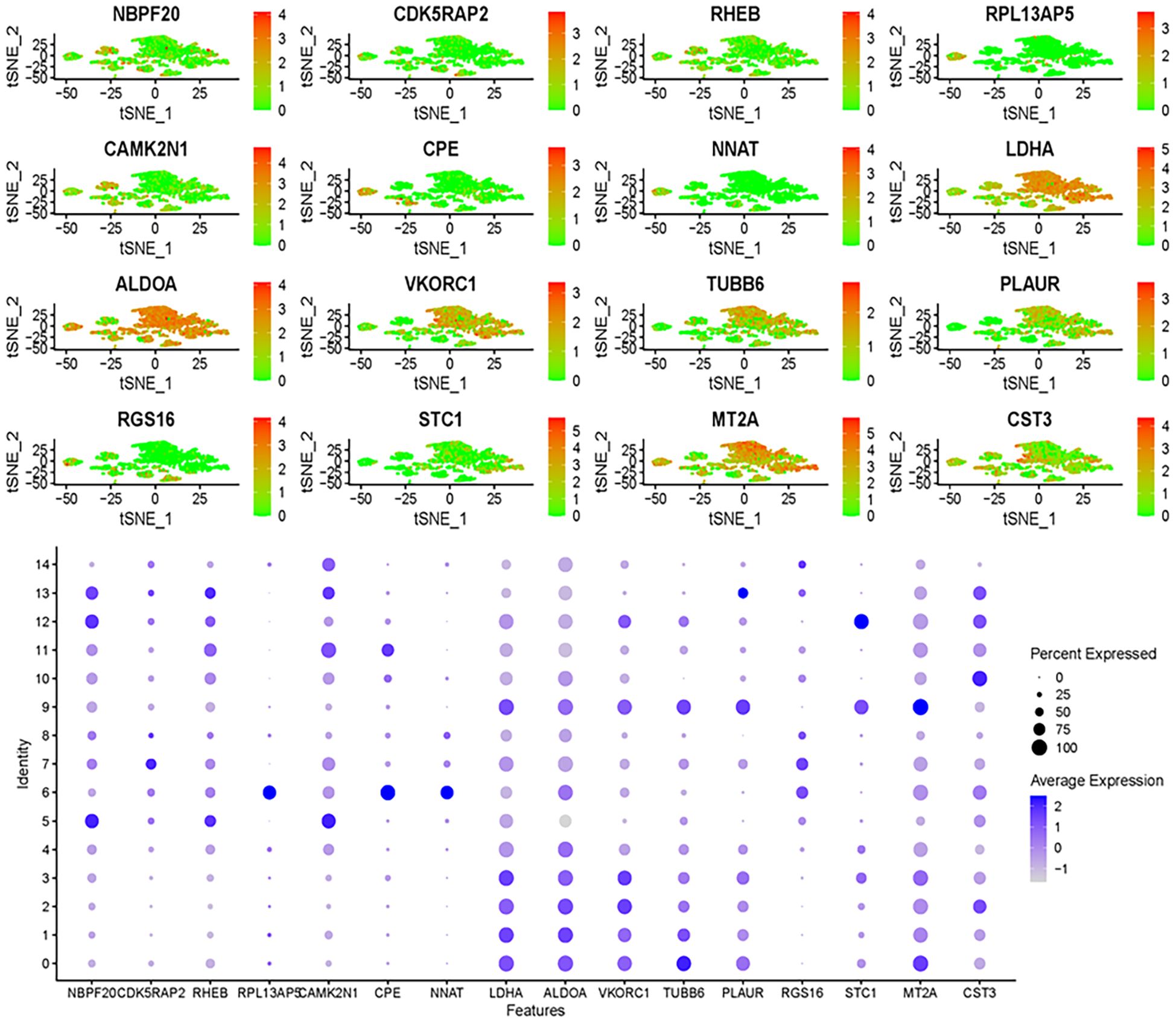 A grid of t-SNE plots and a dot plot visualization is shown. The top section contains sixteen t-SNE plots, each labeled with different gene names, highlighting expression levels with color scales from green to red. The bottom section is a dot plot featuring genes as labels on the x-axis and identity on the y-axis, with dot size indicating percent expression and color intensity showing average expression levels, ranging from blue to white.