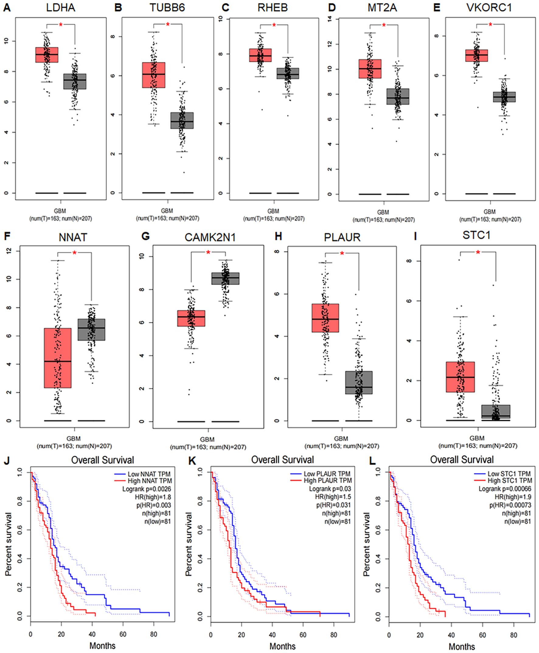 Box plots labeled A-I show gene expression levels (LDHA, TUBB6, RHEB, MT2A, VKORC1, NNAT, CAMK2N1, PLAUR, STC1) for GBM with significant differences highlighted by red asterisks. Scatter plots J-L depict overall survival rates based on gene expression levels (NNAT, PLAUR, STC1) with low and high TPM groups, showing survival probabilities over 80 months.