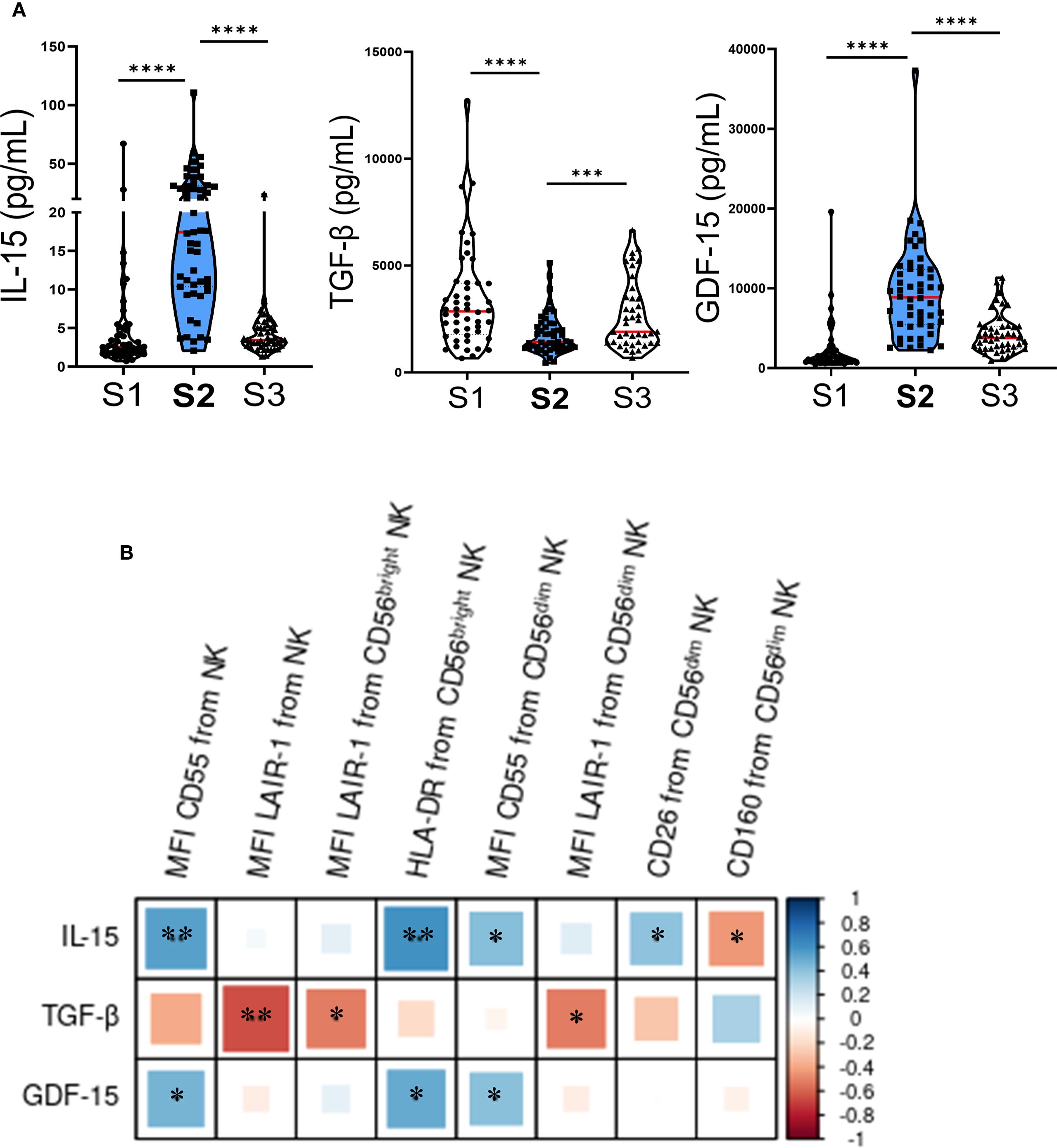 Violin plots and a correlation heatmap illustrate cytokine levels and their associations. Section A shows IL-15, TGF-β, and GDF-15 levels across S1, S2, and S3 groups, with statistical significance indicated by asterisks. Section B presents a heatmap of correlations between cytokines and natural killer (NK) cell markers from CD56 bright and dim NK cells, with color intensity and asterisks denoting the strength and significance of correlations.