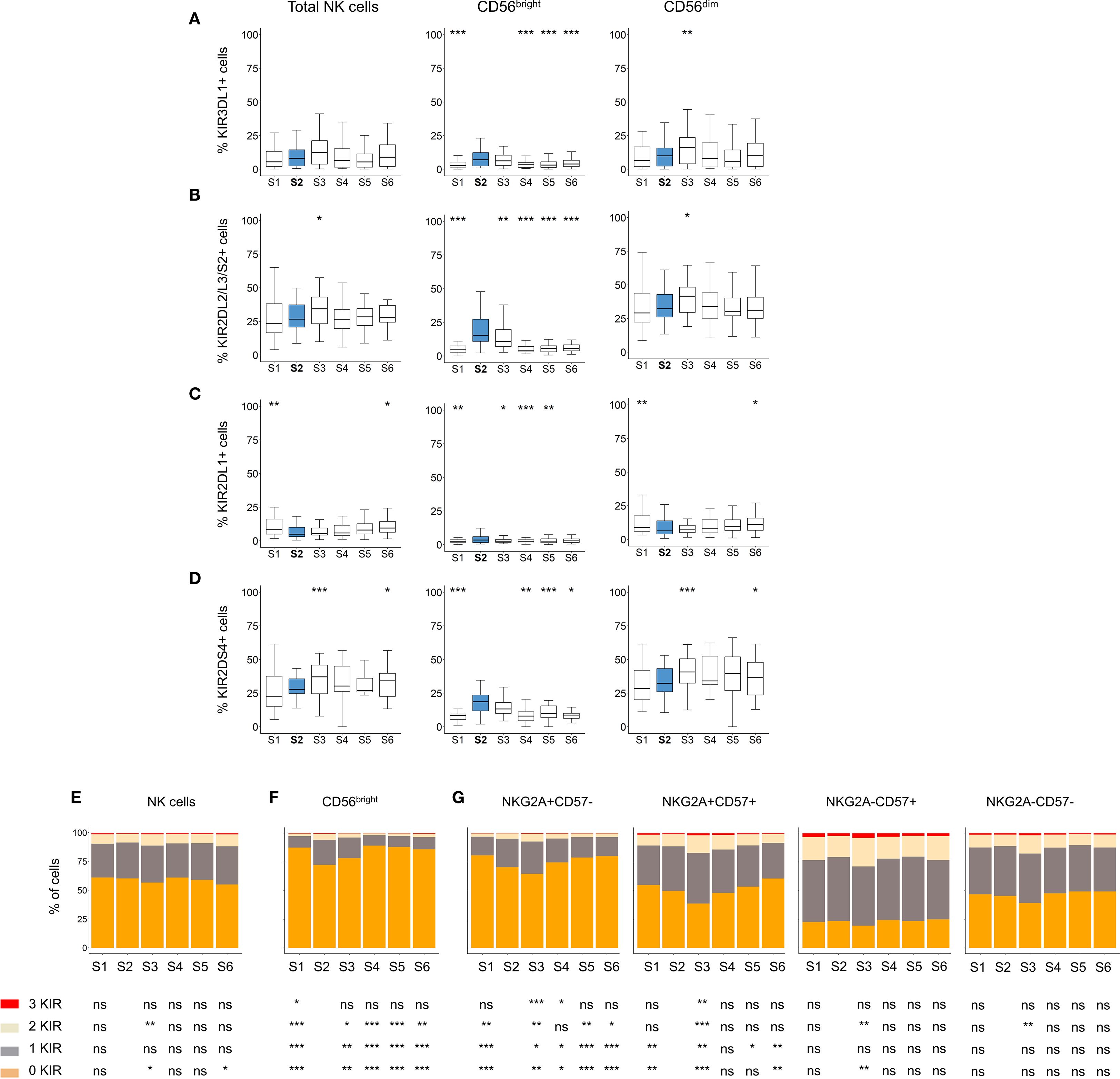 Box plots and bar charts depict data on NK cells across six conditions (S1-S6). Panels A-D show percentages of KIR3DL1+, KIR2DL2/3/S2+, KIR2DL1+, and KIR2DS4+ cells for Total NK, CD56bright, and CD56dim cells. Panels E-G display stacked bars of NK cell percentages based on KIR expression, including CD57 variations. Statistical significance is marked with asterisks above each plot.