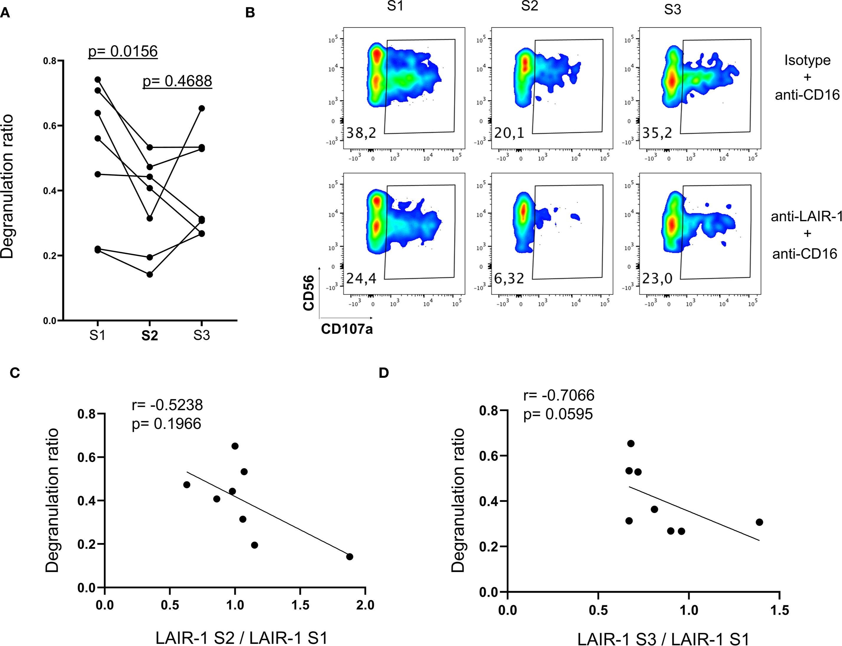 A multi-panel scientific figure shows: A) A line graph depicting degranulation ratios across three conditions (S1, S2, S3) with p-values indicated. B) Flow cytometry plots comparing CD56 and CD107a expression under different antibody treatments. C) A scatter plot correlating LAIR-1 S2/S1 ratio with degranulation ratio, showing a moderate negative correlation (r=-0.5238, p=0.1966). D) Another scatter plot for LAIR-1 S3/S1 ratio with a stronger negative correlation (r=-0.7066, p=0.0595).