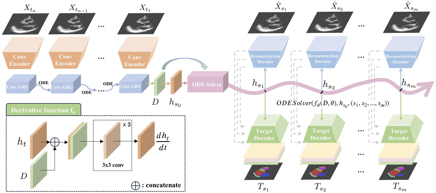Diagram illustrating Echo-ODE for processing echocardiogram video. From left to right, ultrasound images are encoded by a convolutional encoder with shared parameters and processed by a sequence of GRU-ODE blocks. The outputs are fed into an ODESolver, followed by a reconstruction decoder, a target decoder, and skip-connections between the two decoders to generate the desired continuous predictions. The lower section details the derivative function, involving concatenation and 3x3 convolutional operations.