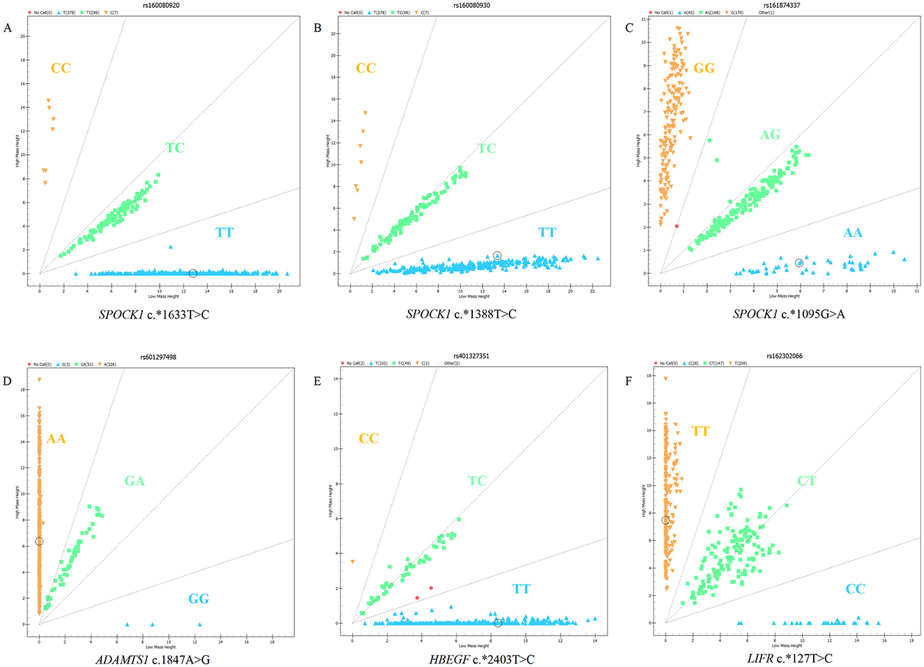 Six scatter plots labeled A to F. Each plot compares three genotypes by plotting their Log R ratios against B allele frequency, with genotypes differentiated by color: CC (orange), TC or AG (green), and TT or GG or AA (blue). Plots A, B, and C analyze SPOCK1 gene variants, plot D analyzes ADAMTS1, plot E HBEGF, and plot F LIFR. Each graph shows clusters aligning with the expected genotypic positioning.