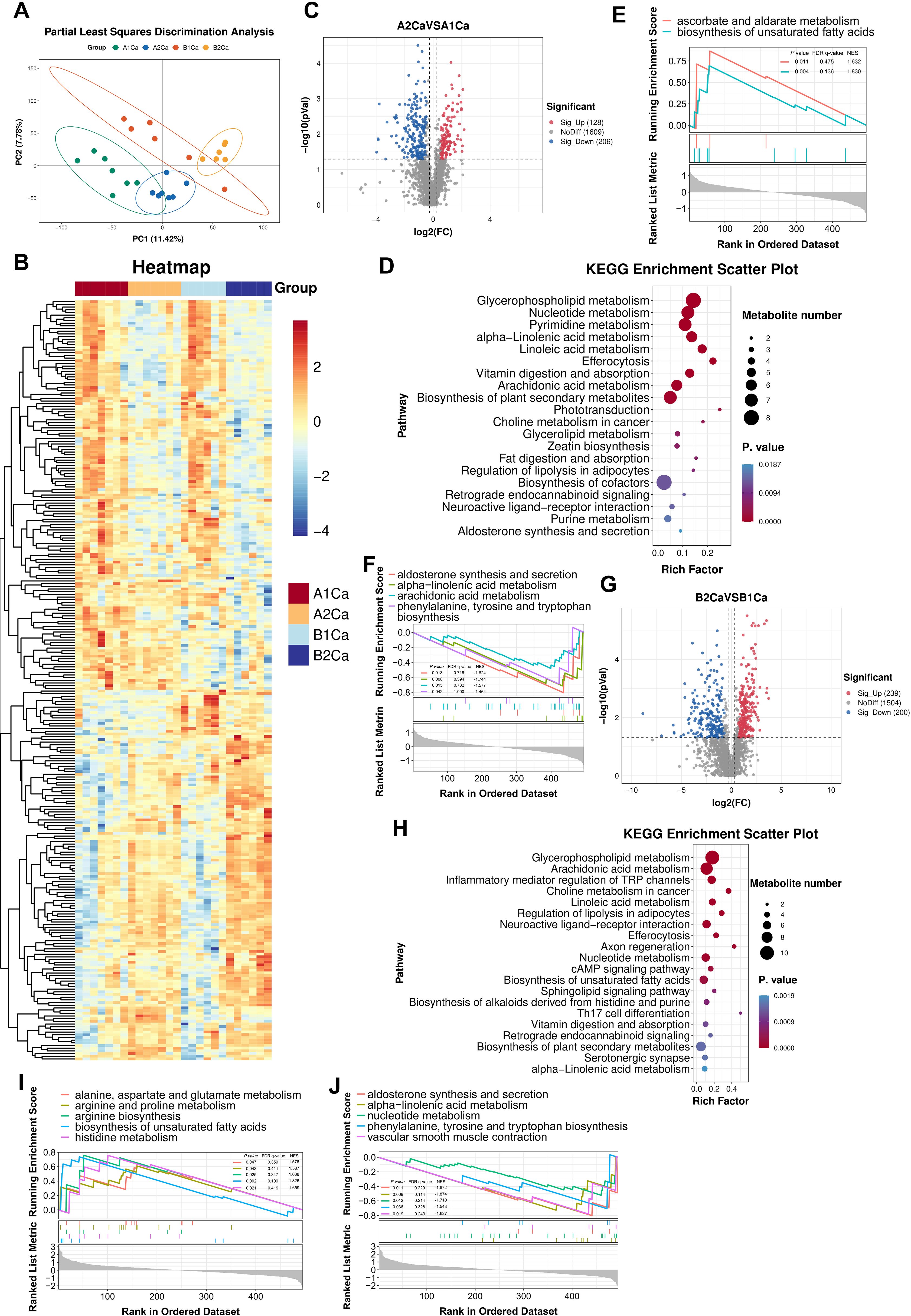 A collage of charts and plots including a scatter plot for partial least squares discrimination analysis, a heatmap showing hierarchical clustering, two volcano plots, and two KEGG enrichment scatter plots. Running enrichment score graphs display metabolic and biosynthesis pathways with various rankings. Color coding differentiates groups and pathways, with data points indicating significance.