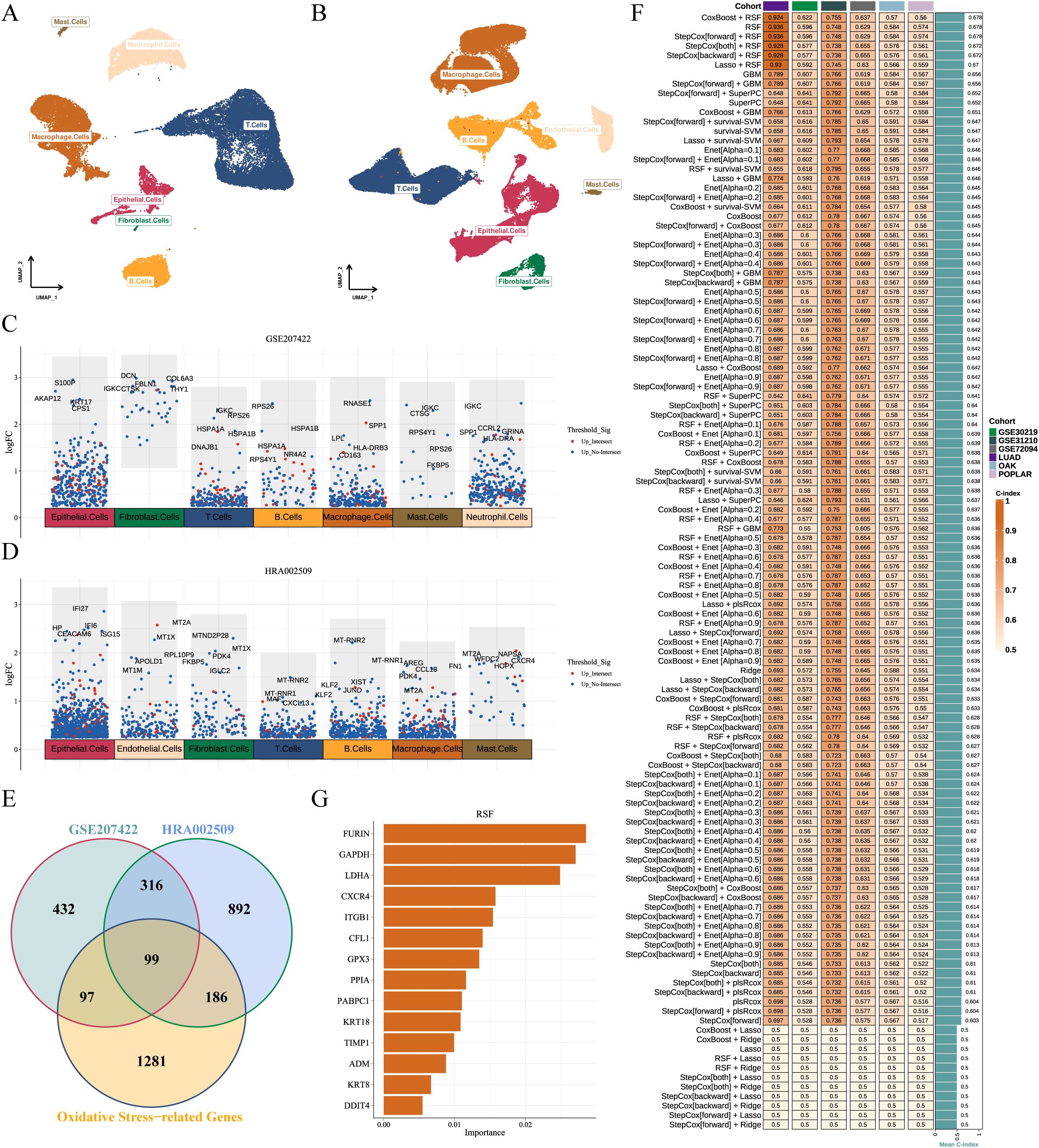 This image contains multiple panels depicting various data visualizations: (A and B) UMAP plots of immune cell types, (C and D) dot plots displaying expression levels of genes across cell types, (E) a Venn diagram showing gene overlap between datasets, and (F) a table with cohort analyses and color-coded values, (G) a bar chart indicating the importance of different genes. Each panel is labeled with specific annotations relevant to the data presented.