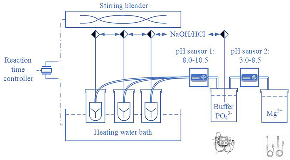 Diagram of a chemical setup involving a stirring blender connected to three containers in a heating water bath. A reaction time controller is shown on the left. NaOH/HCl flow towards two pH sensors. Sensor 1 ranges from 8.0 to 10.5, and Sensor 2 from 3.0 to 8.5. They monitor solutions containing phosphate buffer and magnesium ions.