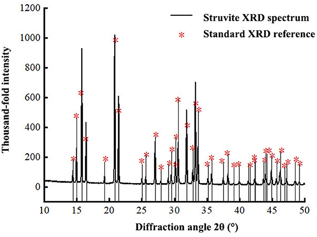 X-ray diffraction (XRD) graph displaying the intensity of struvite over a range of diffraction angles from ten to fifty degrees. Peaks are marked by stars, indicating standard XRD references, with multiple prominent peaks around seventeen, twenty-five, and thirty-one degrees. Intensity is measured in thousand-fold units, reaching up to one thousand, highlighting key structural information.