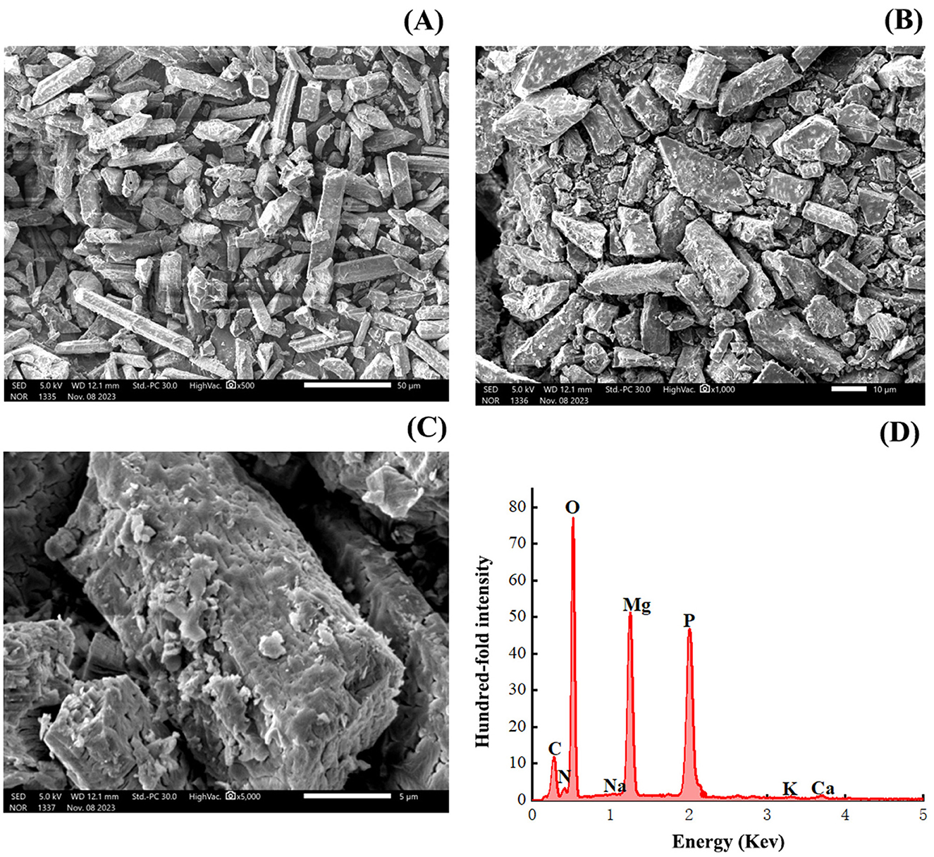 Scanning electron microscope images and an energy-dispersive spectroscopy graph. Image A shows elongated crystal structures at 50 micrometers scale. Image B depicts irregular particles at 10 micrometers scale. Image C reveals detailed crystal surface features at 5 micrometers scale. Image D is a graph with peaks for oxygen, carbon, magnesium, phosphorus, sodium, potassium, and calcium across different energy levels in keV, indicating elemental composition.