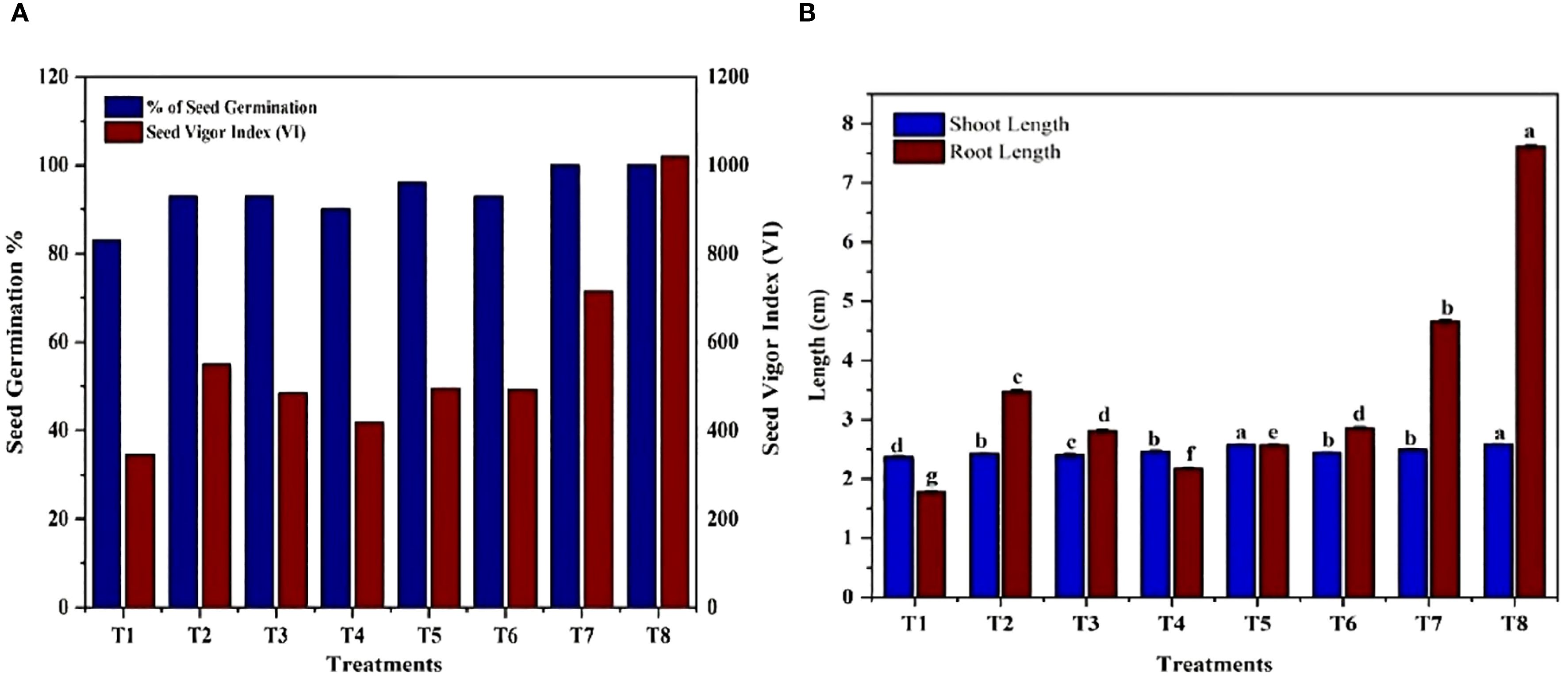 Two bar graphs labeled A and B. Graph A shows seed germination percentage and seed vigor index across treatments T1 to T8. Blue bars represent seed germination, while red bars indicate seed vigor. Graph B displays shoot and root lengths in centimeters for treatments T1 to T8, with blue bars for shoot length and red bars for root length. Treatment T8 shows the highest values for seed vigor and root length.